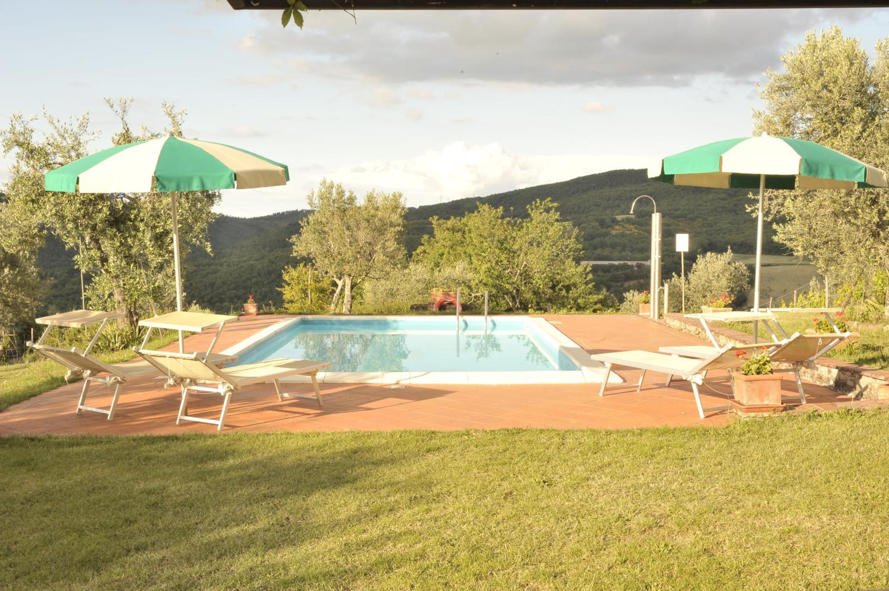 Photo 41
