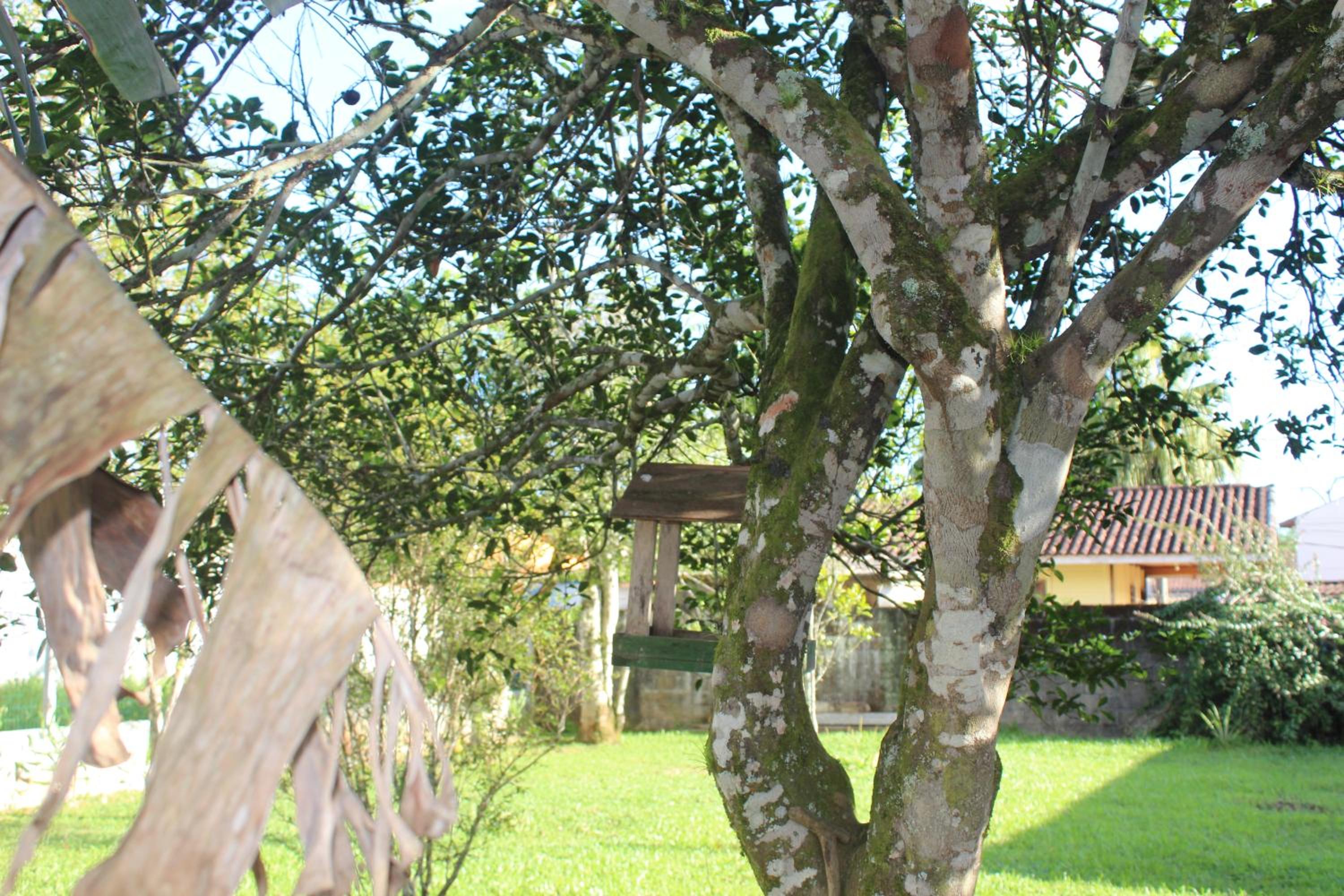 Casa na praia com pomar