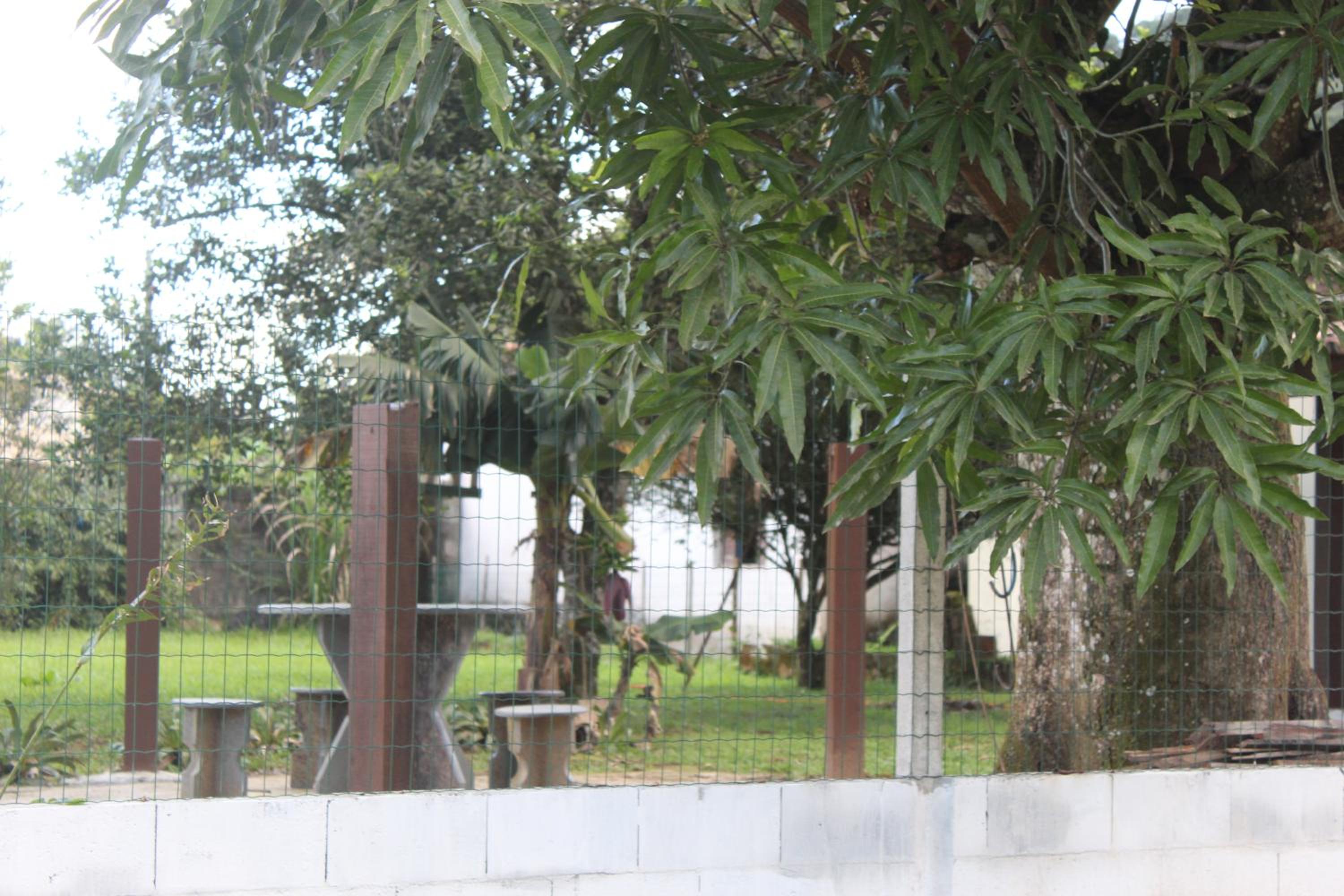 Casa na praia com pomar