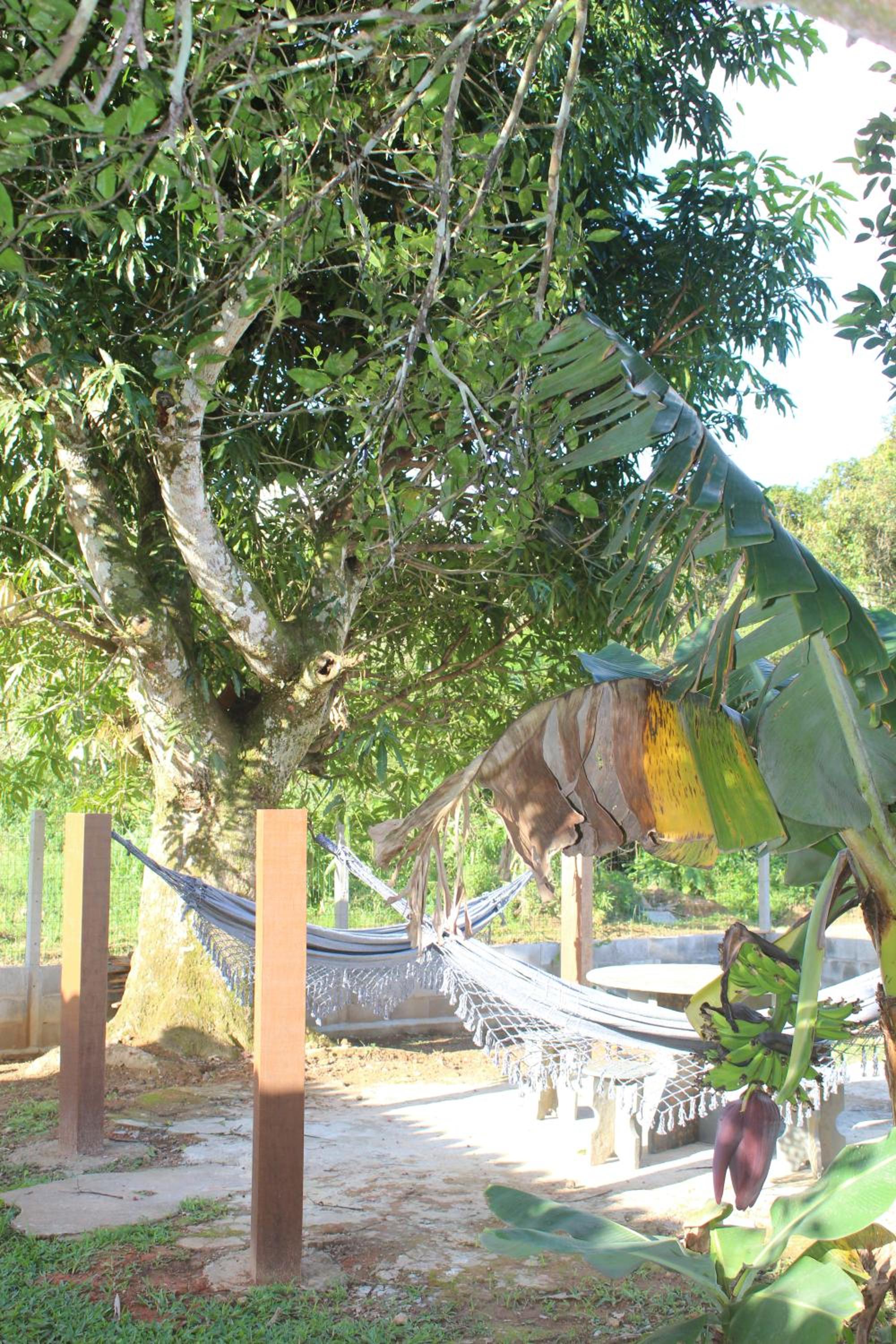 Casa na praia com pomar