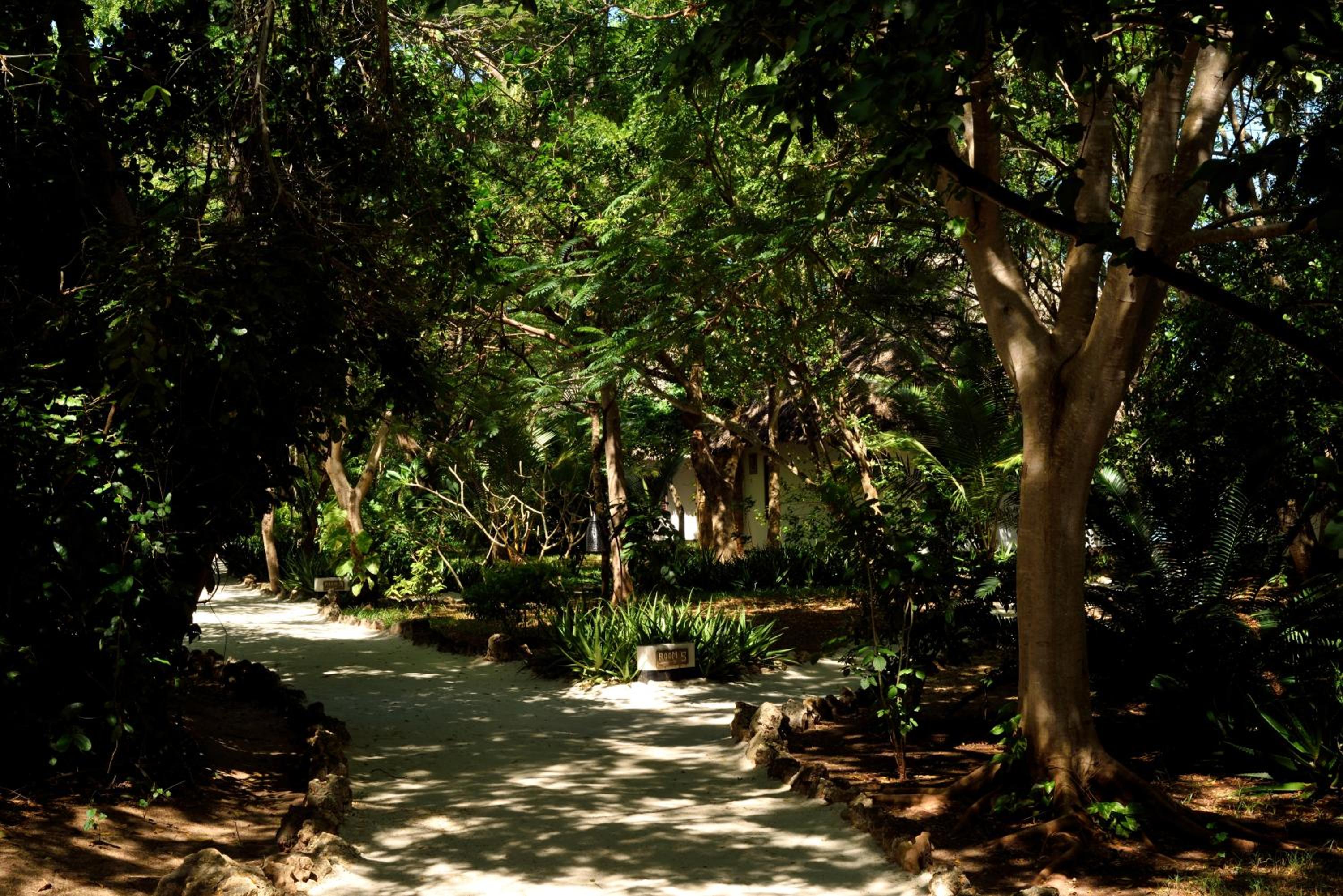 Photo 70