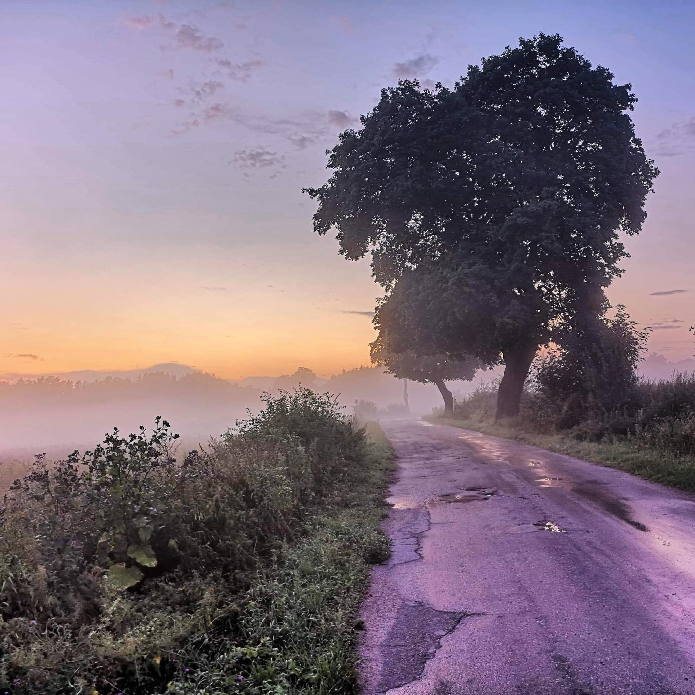 Stara Szkoła Browina view 2