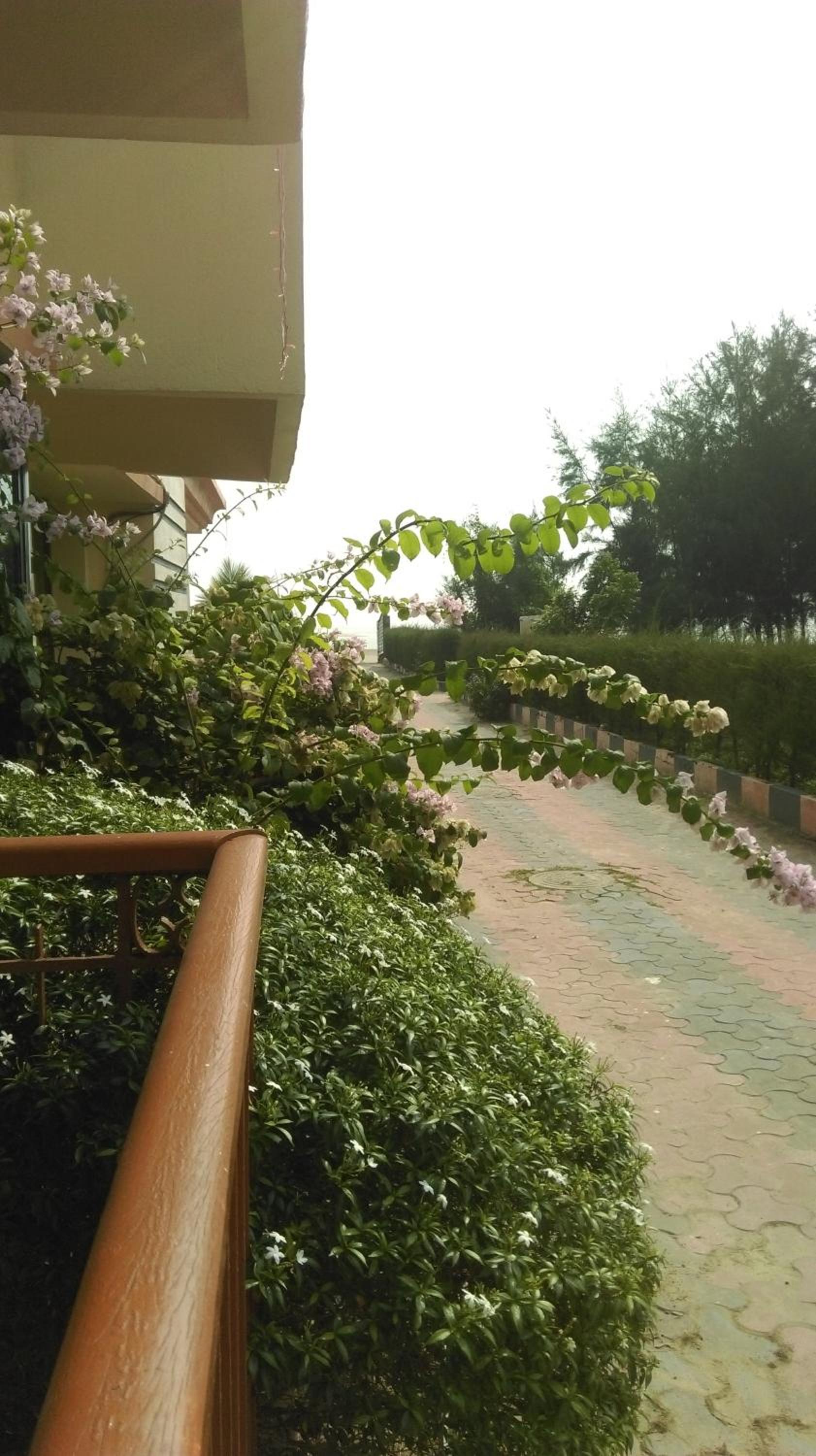 ADB Kanvas view 3
