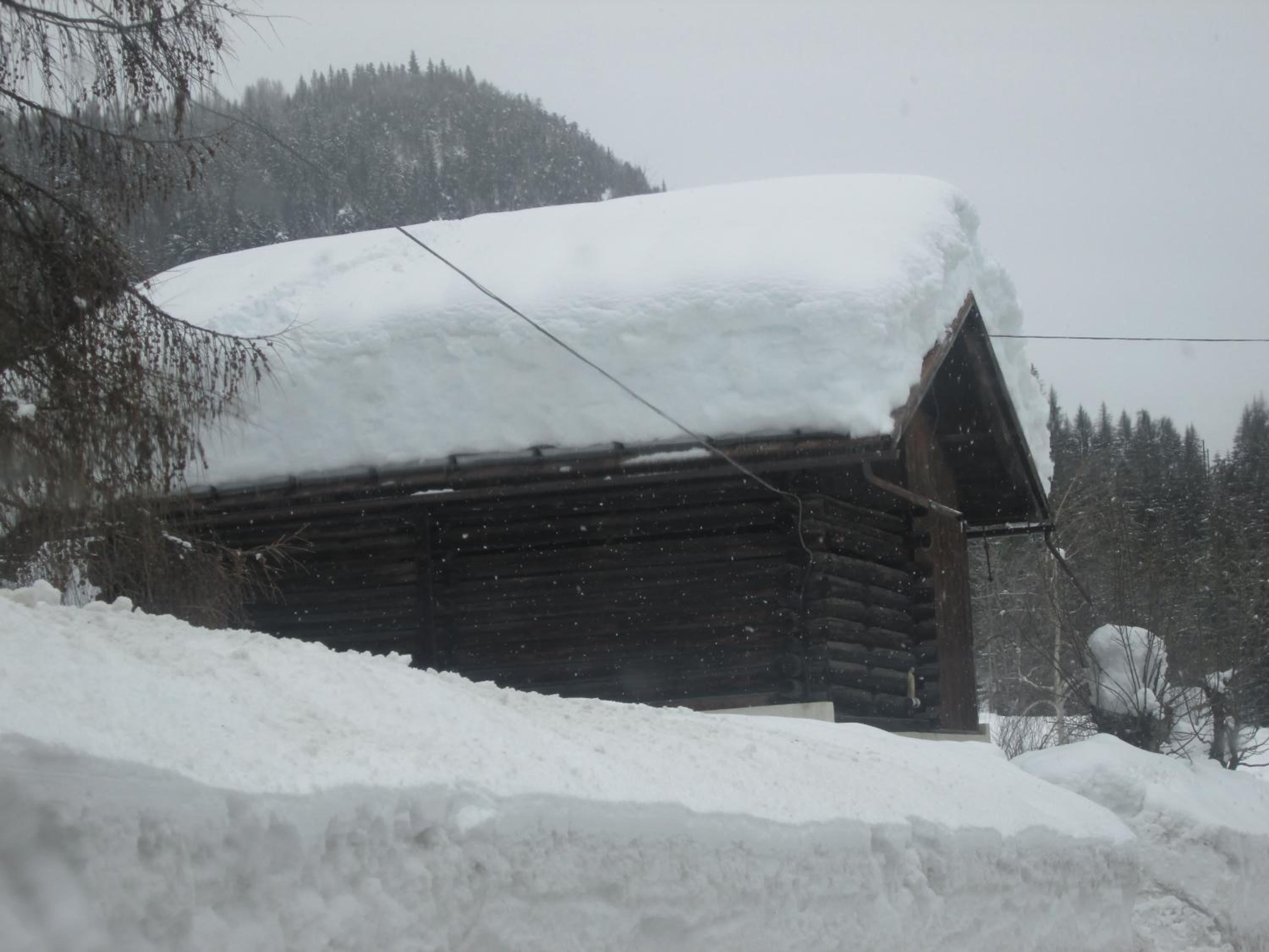 Photo 49