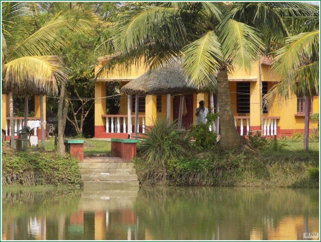 Tarangamala Resort view 4