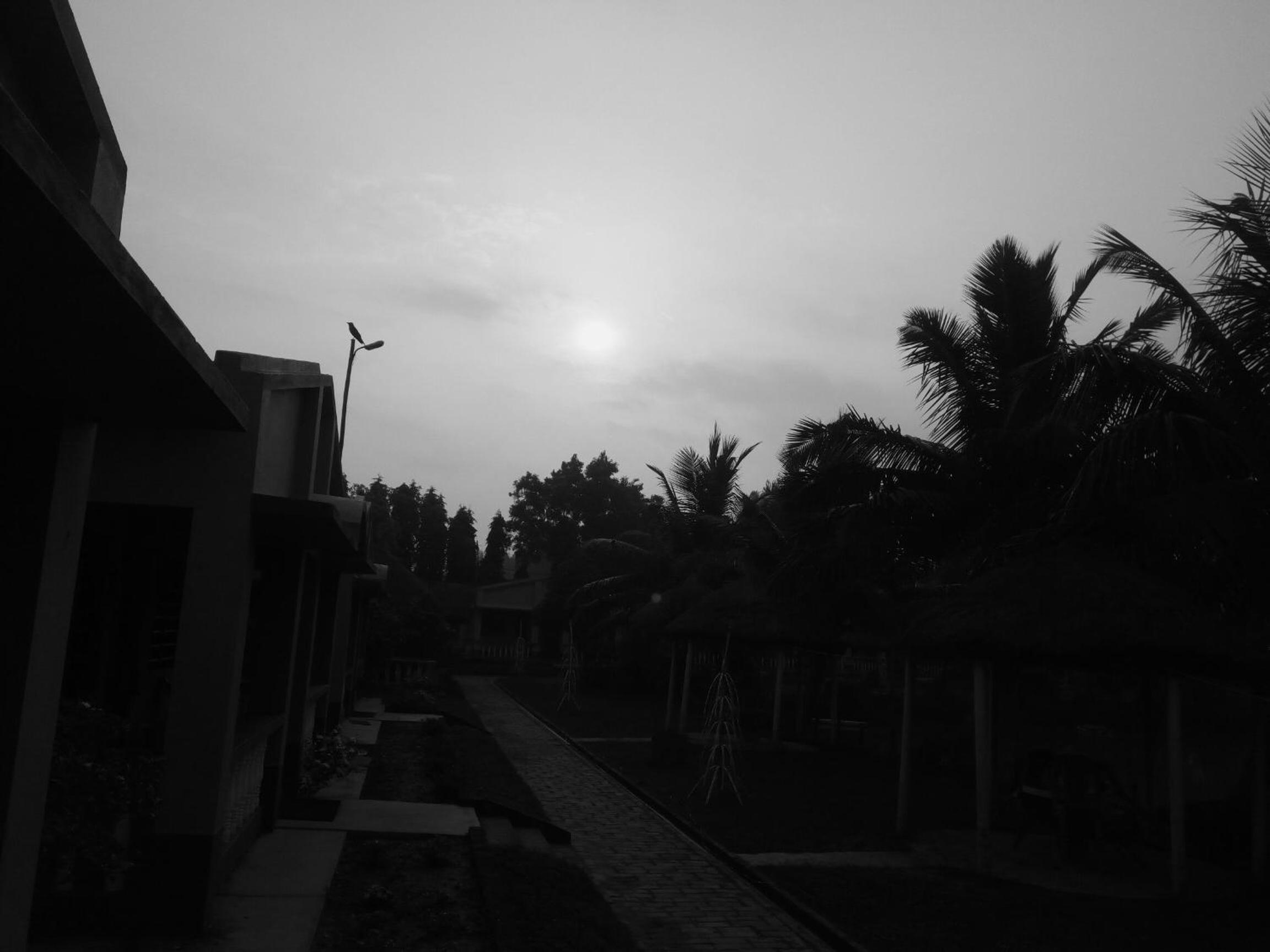 Tarangamala Resort view 5