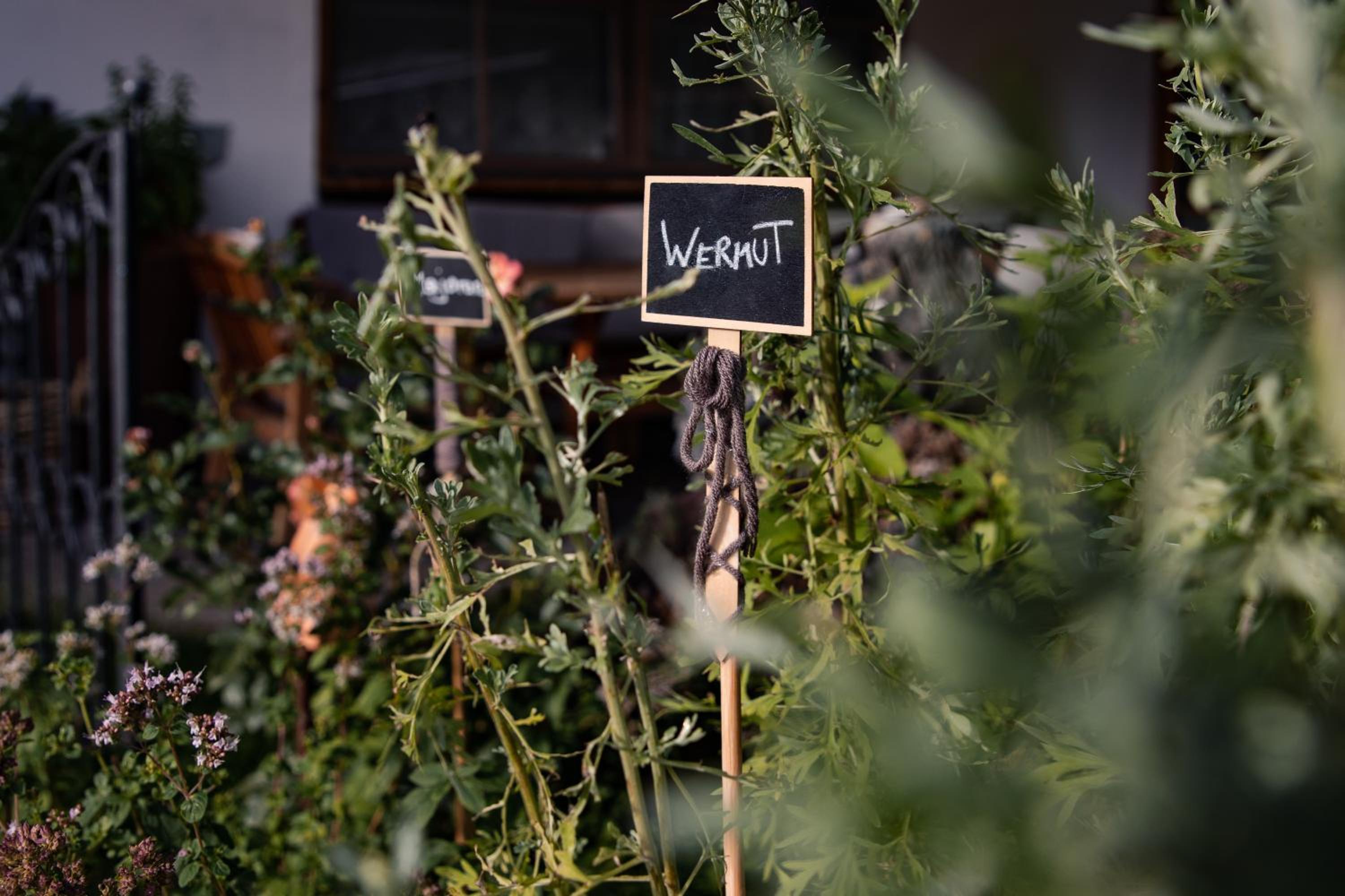 Flora - Das kleine Gartenhotel