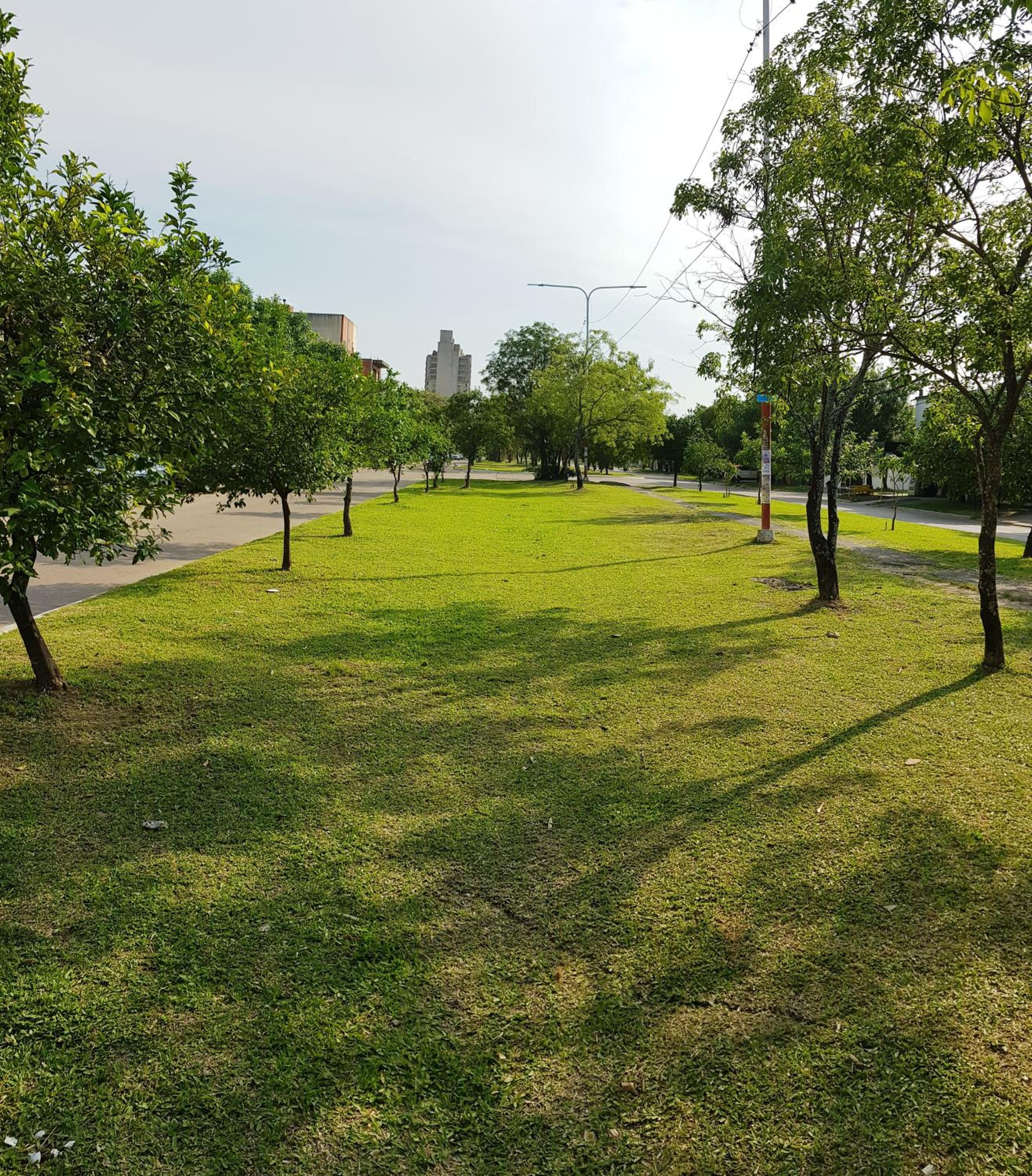 TEMPORARIOS CHACO