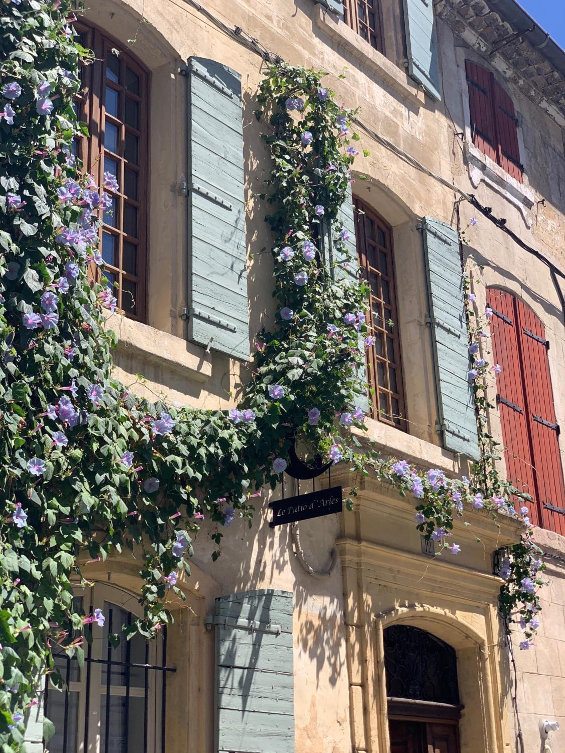 Le Patio d'Arles photo 3