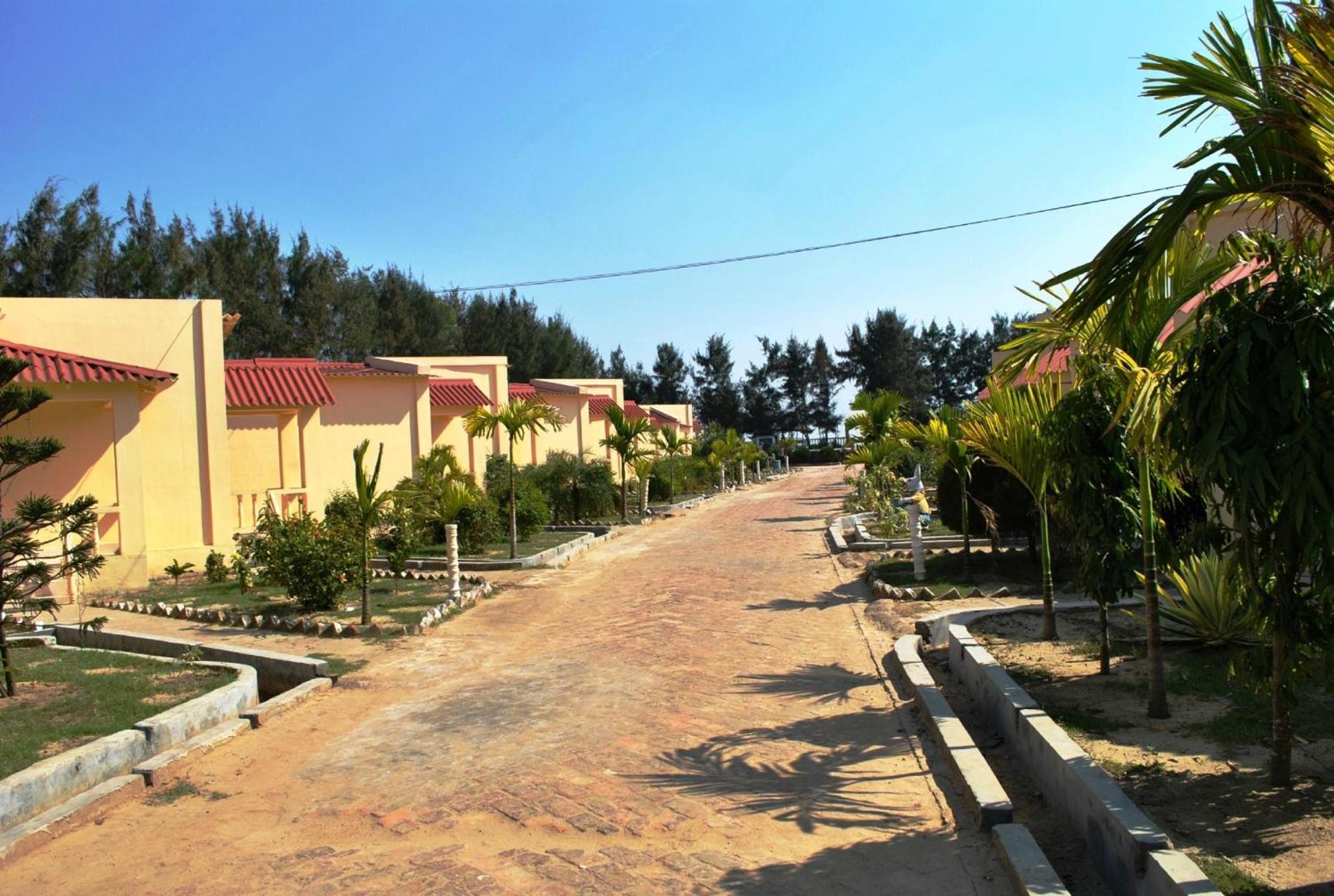 Photo 12