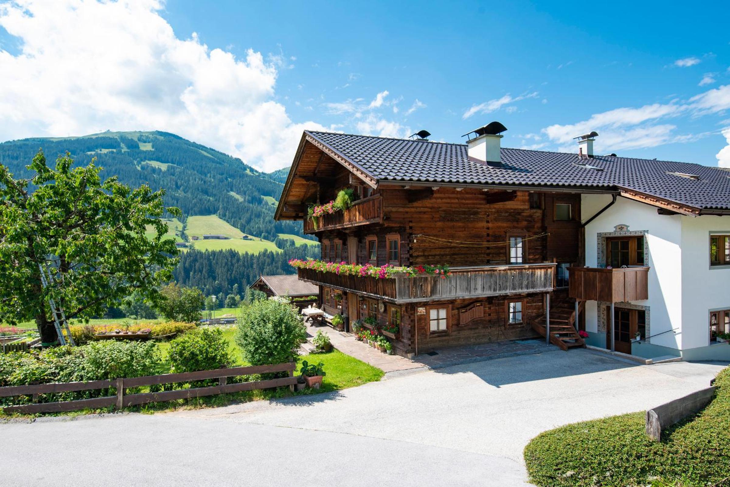 Fürstenhäusl Alpbach - GREEN Apartments & Studio