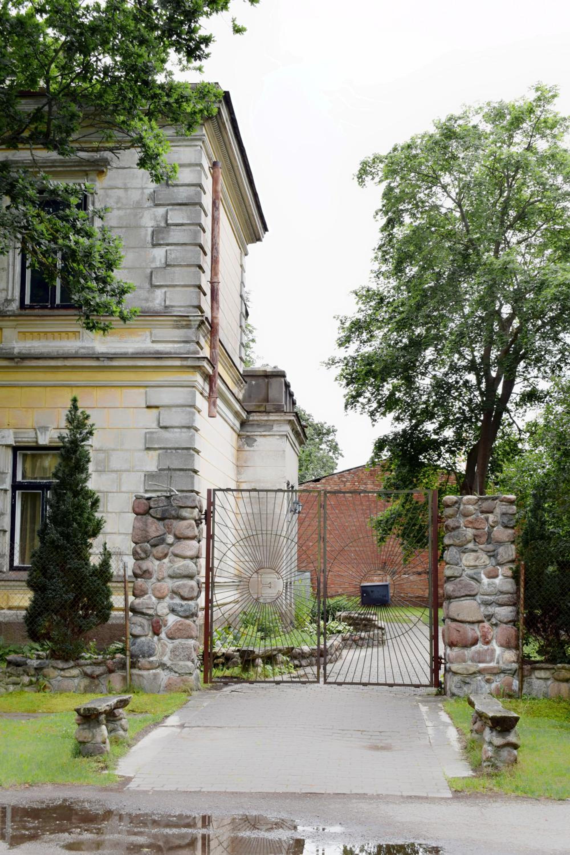 Photo 7