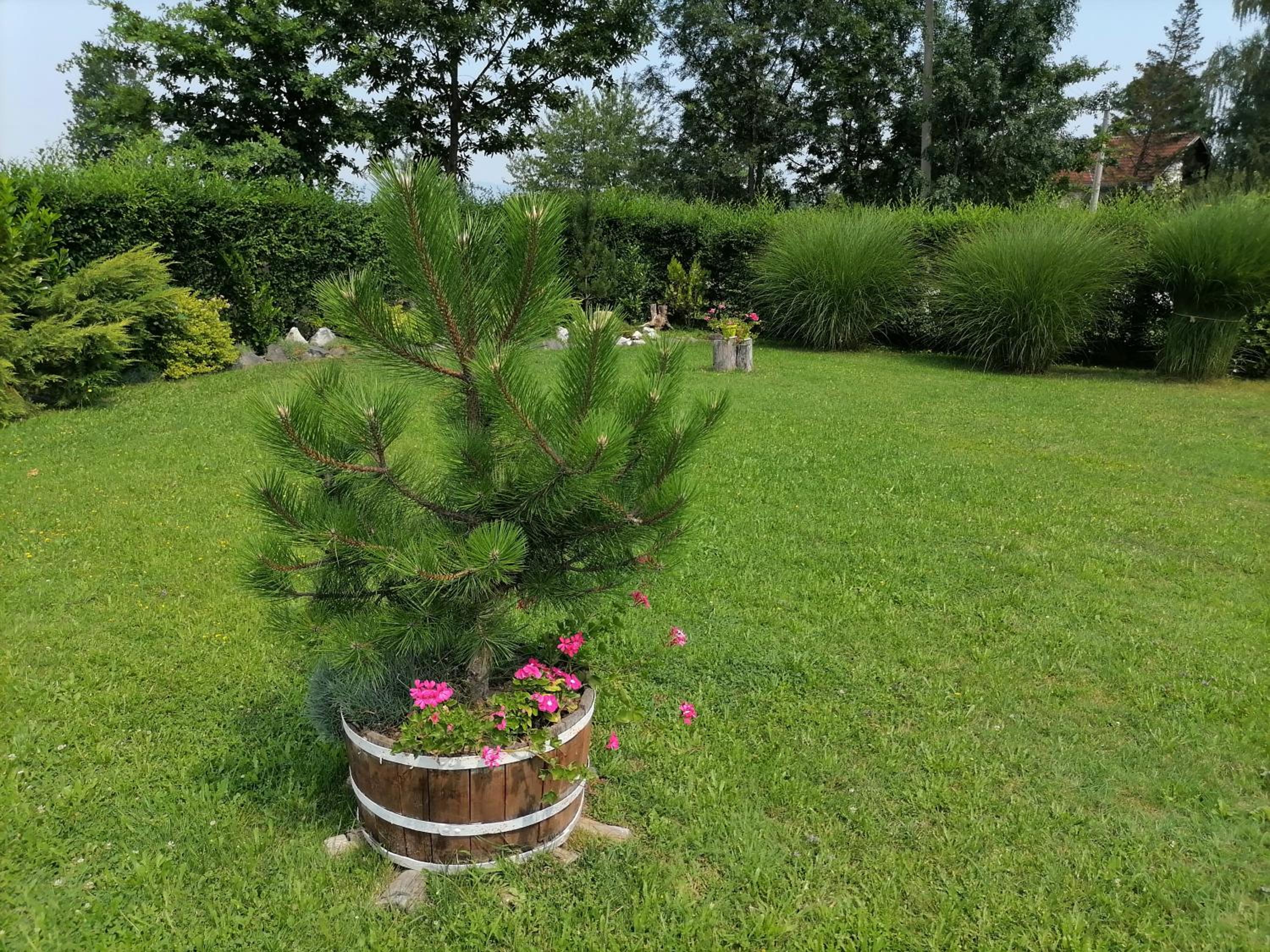 Ranč Terzić Seosko turističko domaćinstvo
