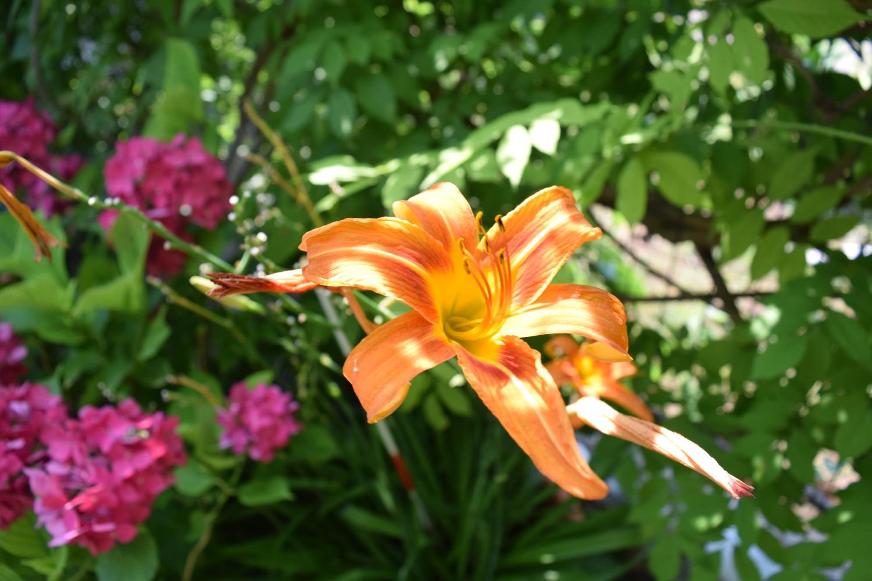 Photo 23