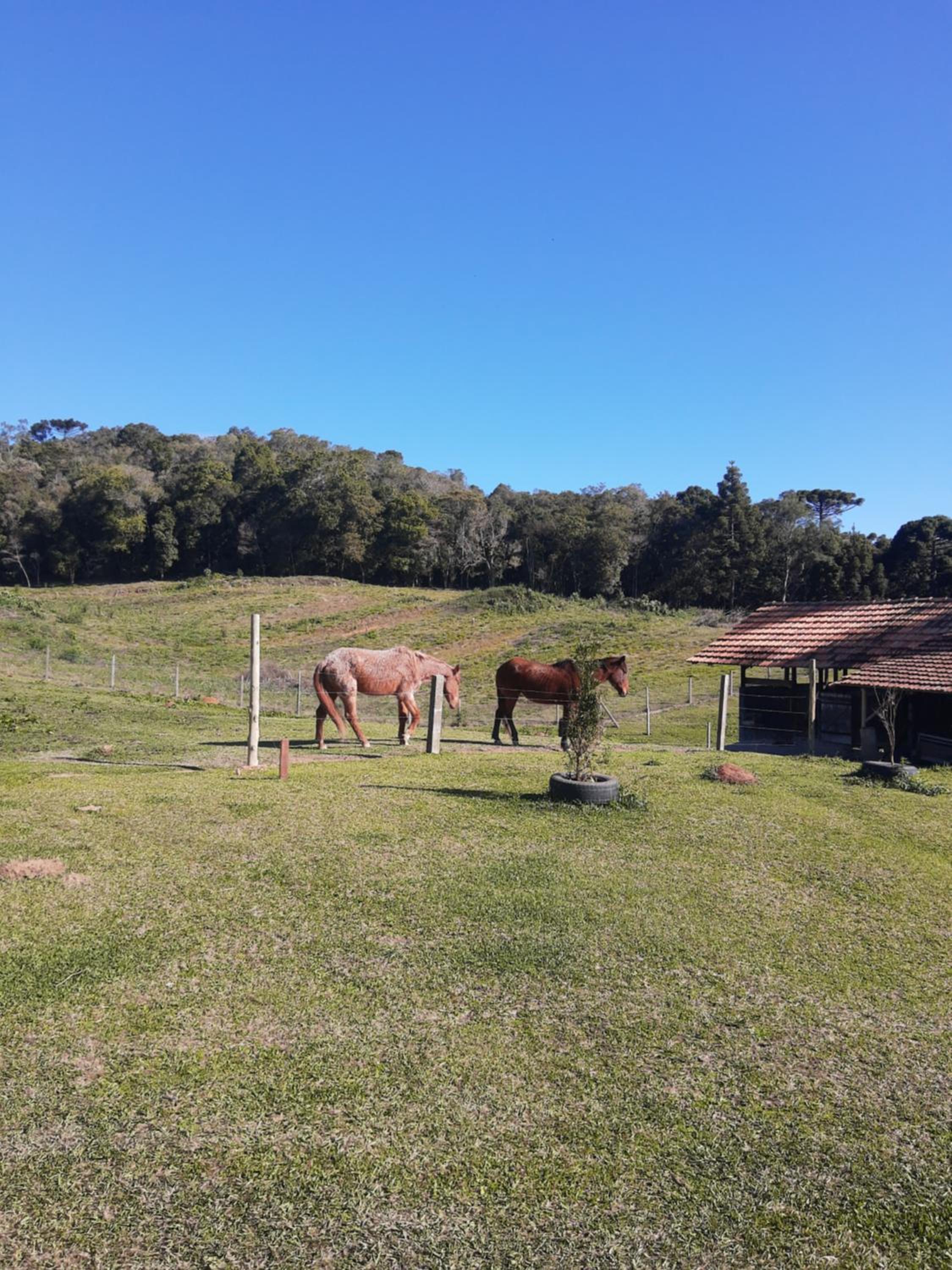 CHÁCARA QUEDINHA D'ÁGUA