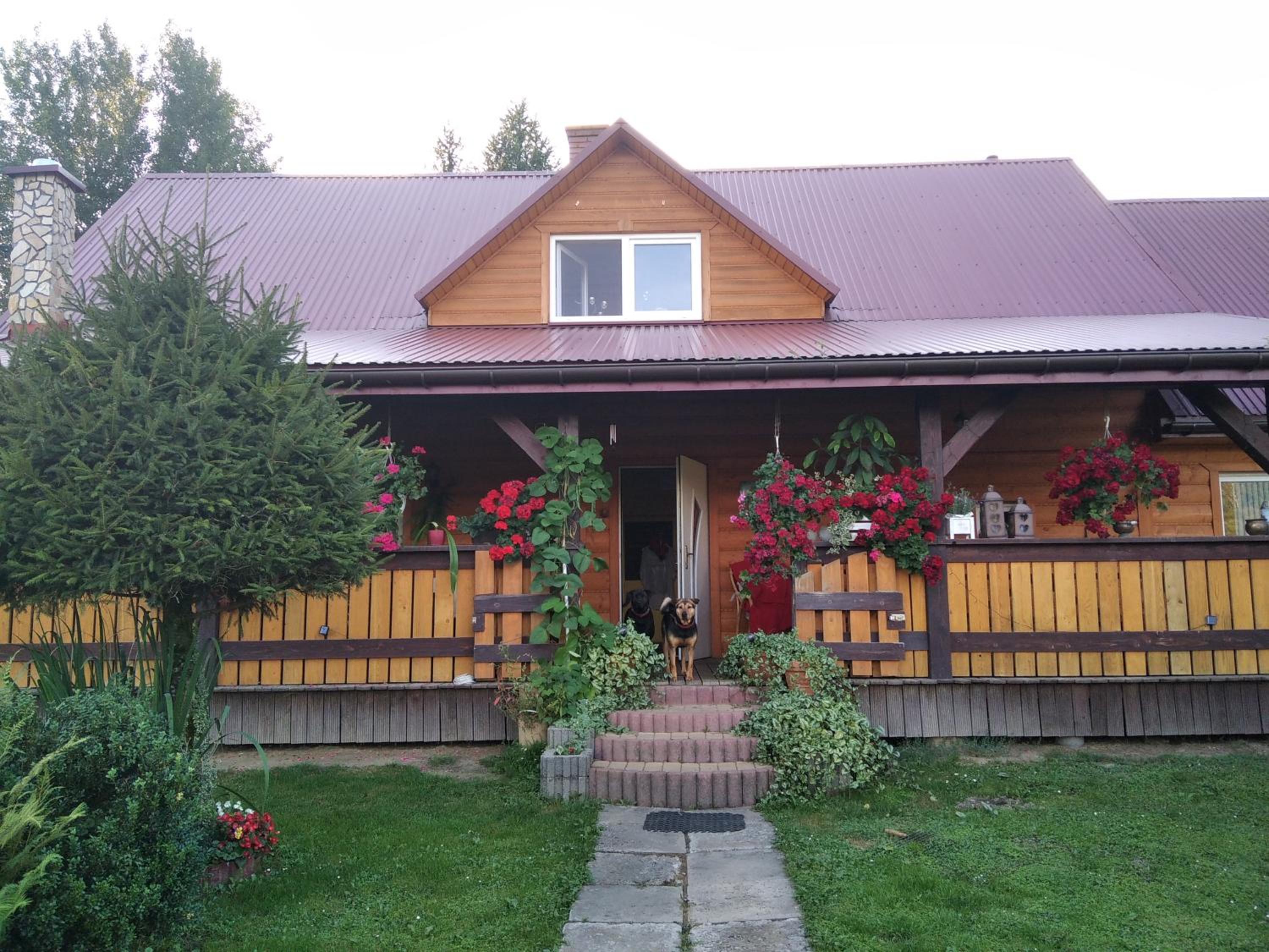 Photo 40