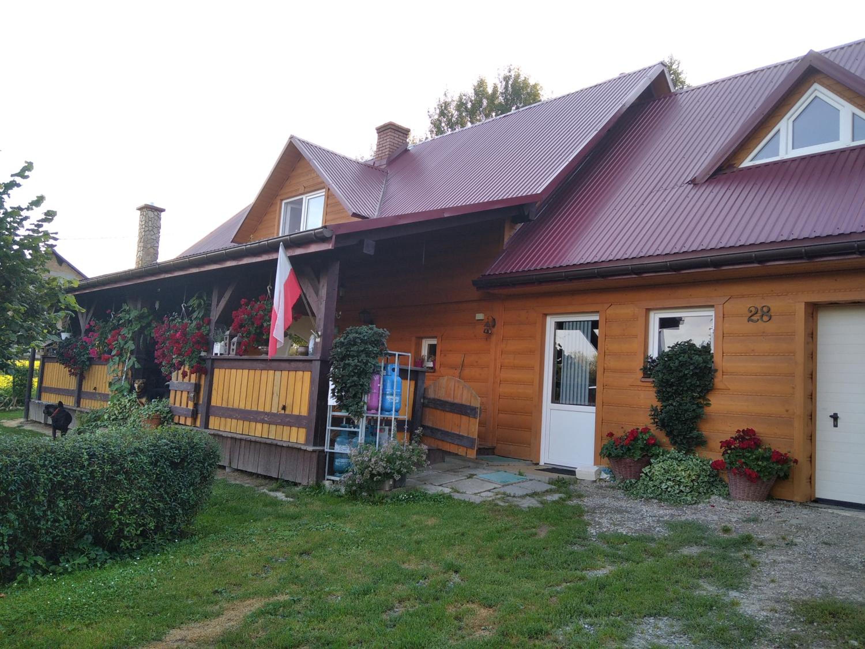Photo 42