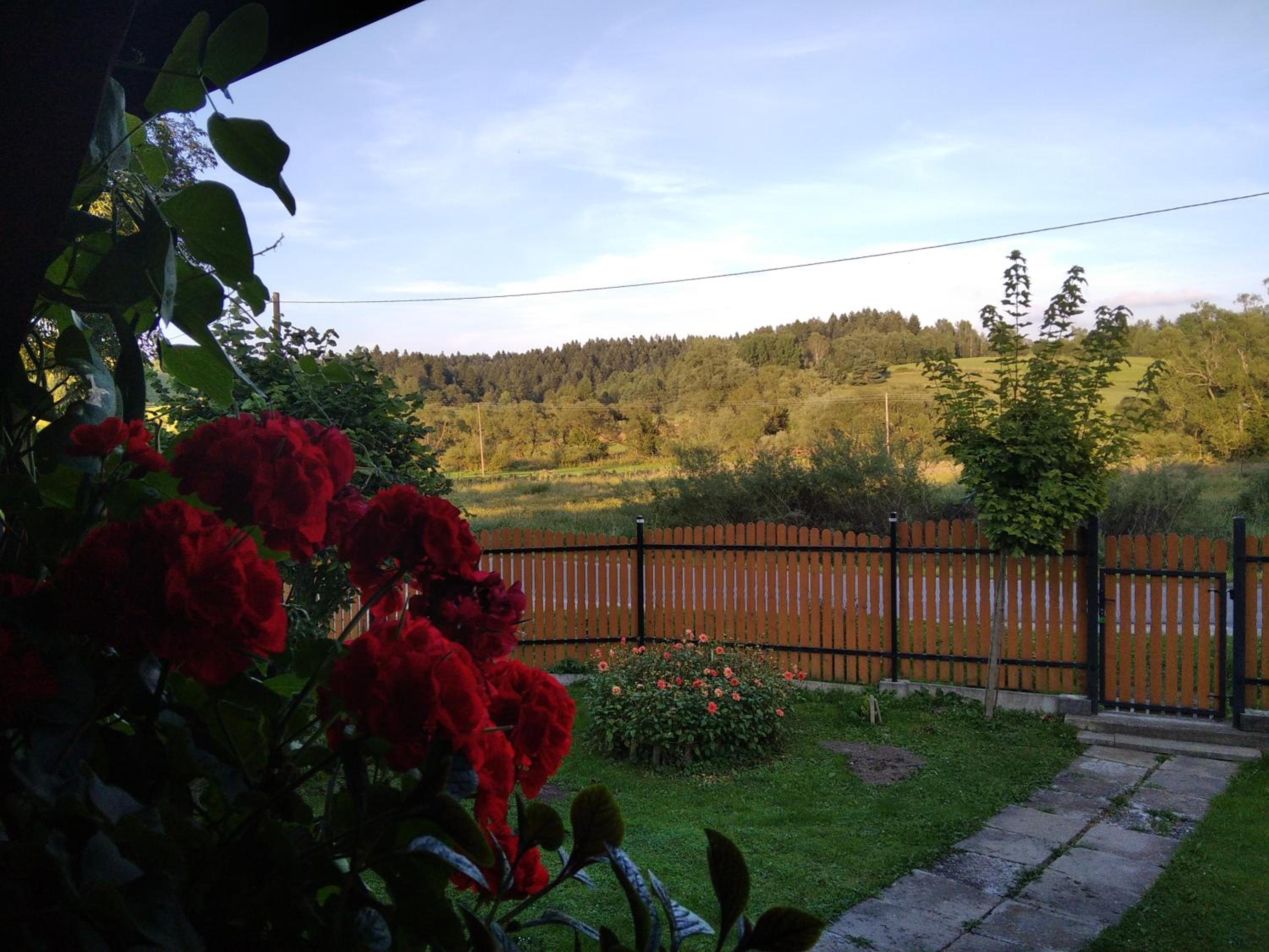 Photo 46