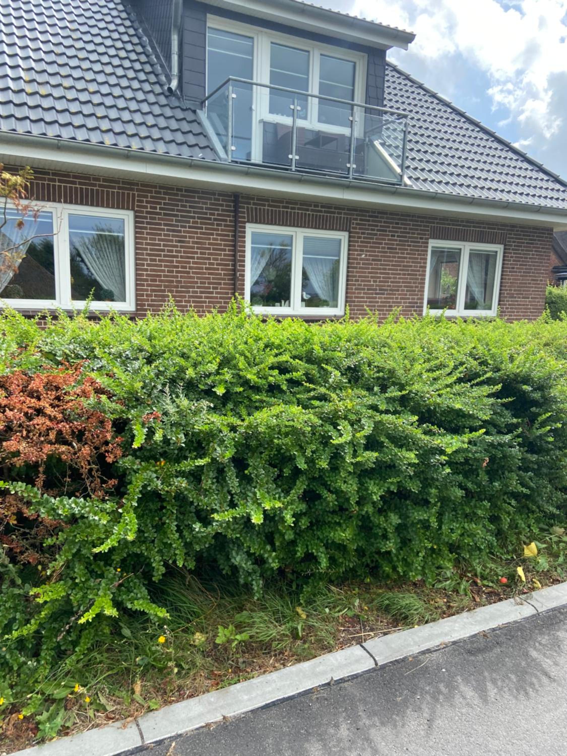 Photo 38