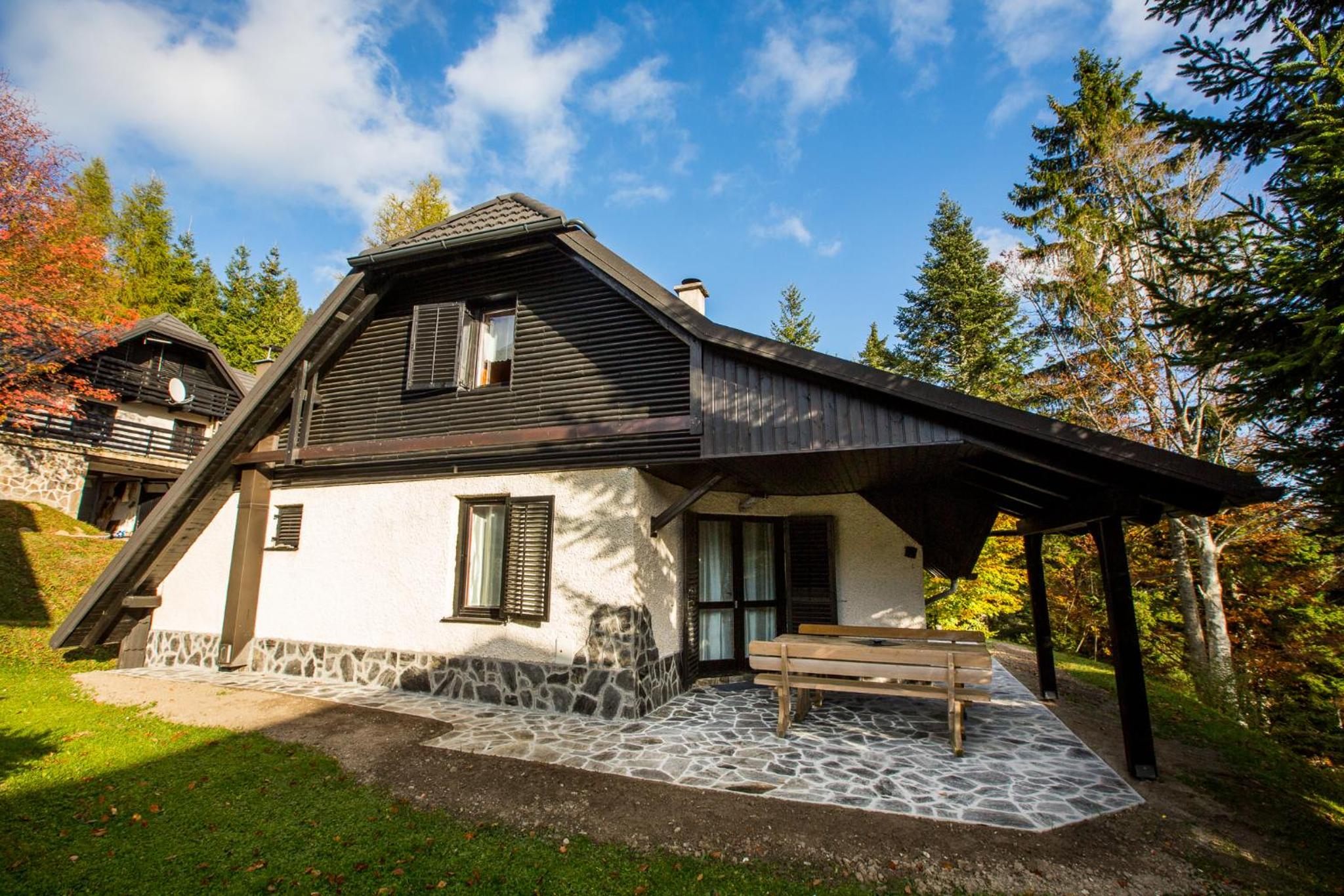 Rogla Chalet Urska view 2
