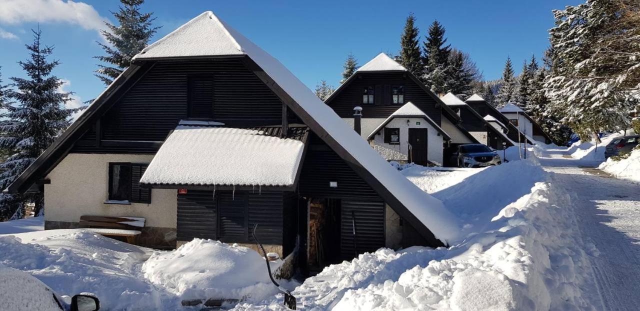 Rogla Chalet Urska view 3