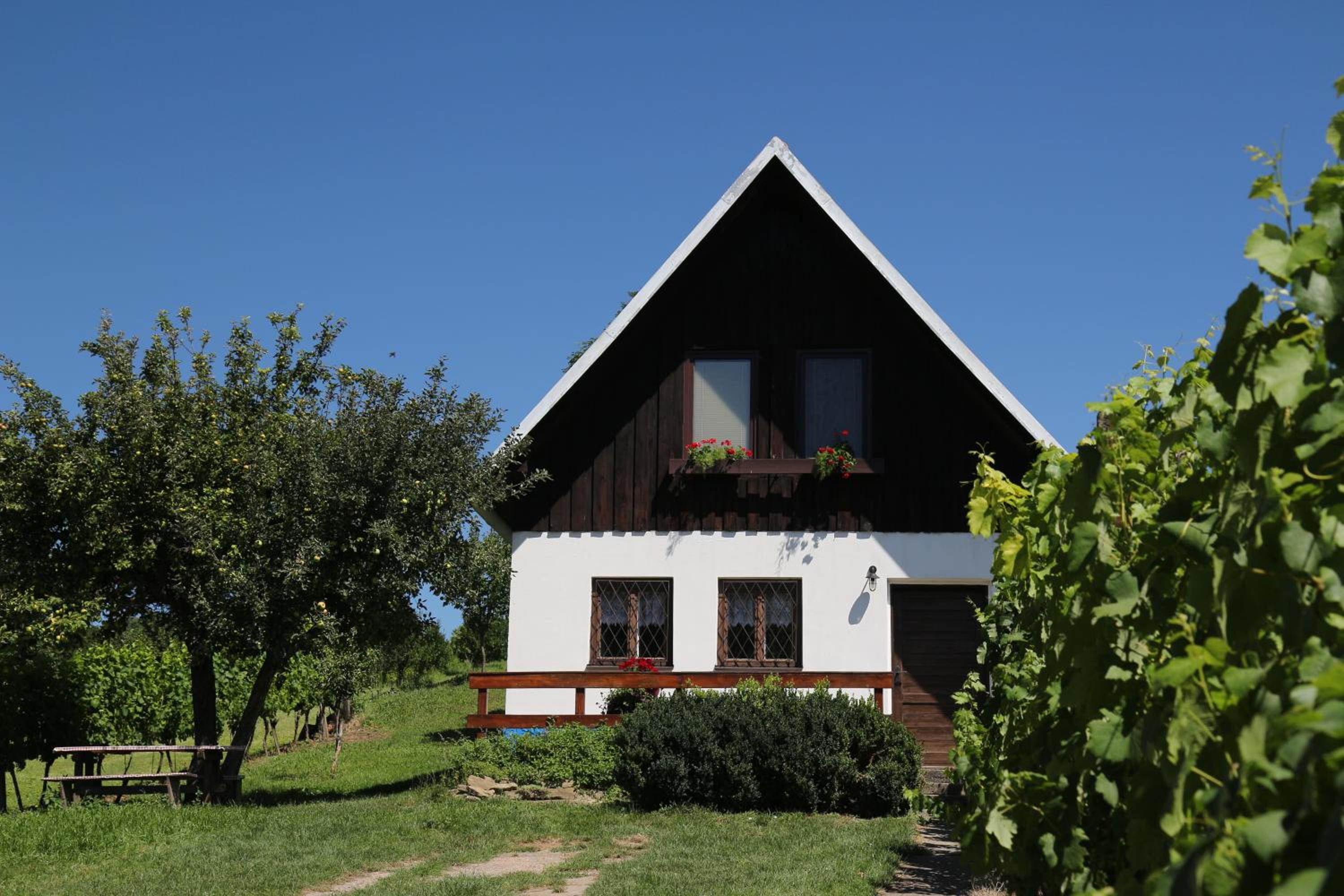 Vinný sklep U Ilčíků view 2