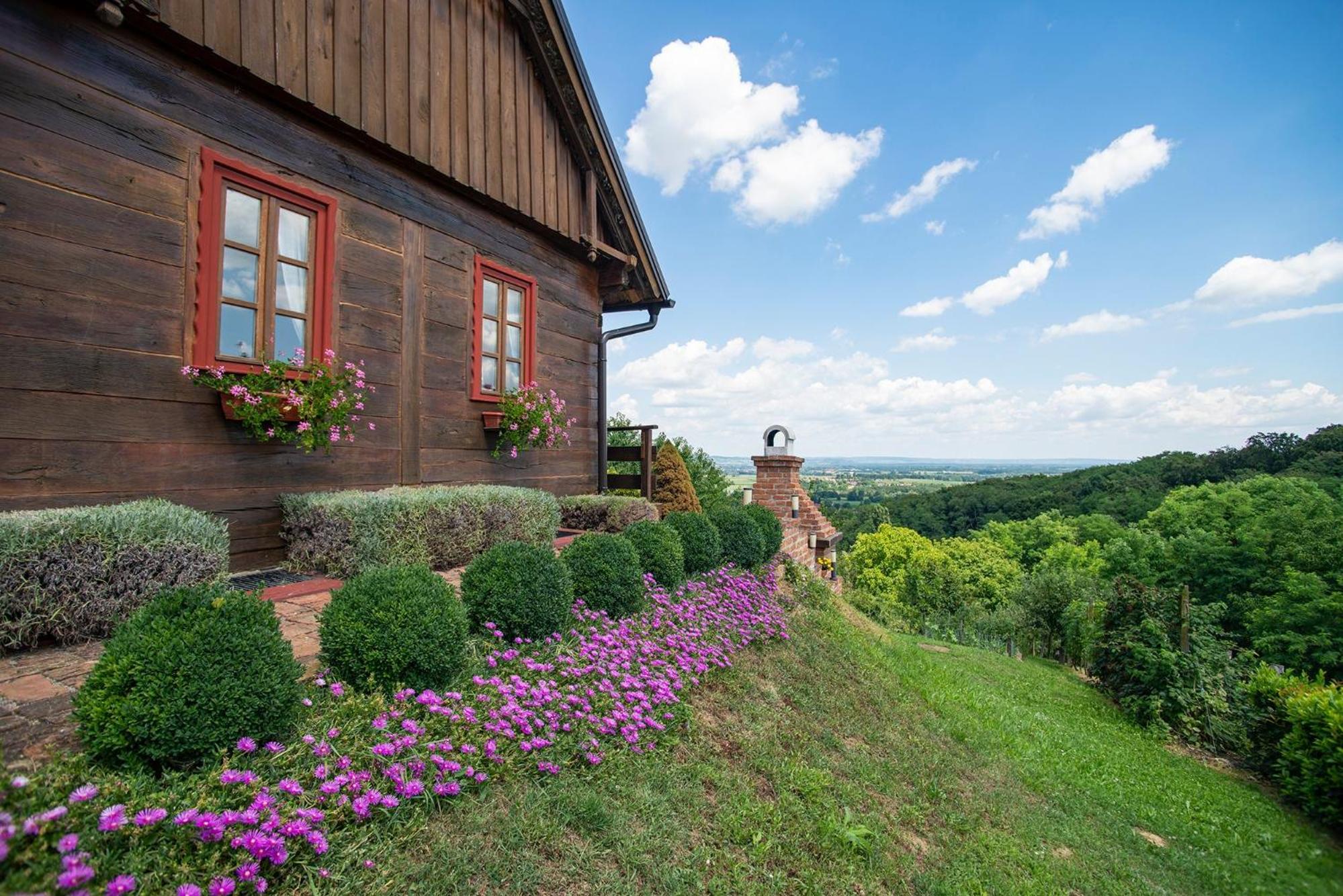 Kuća za odmor Stara hiža view 5