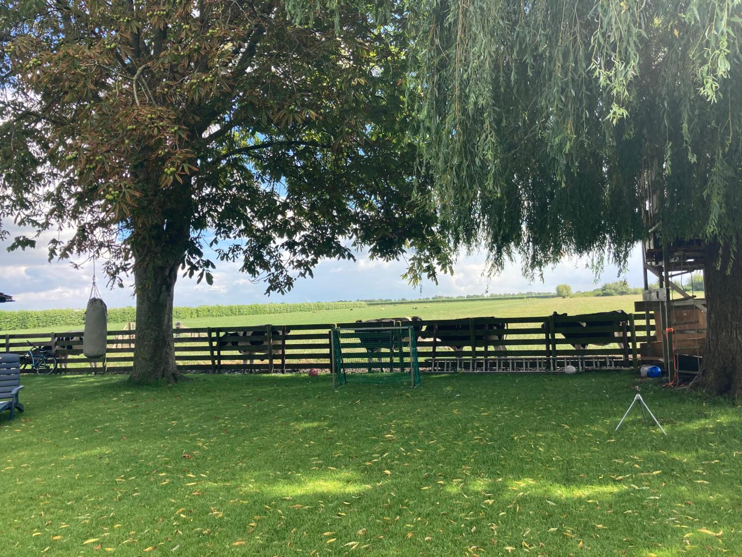 Vakantiehuis Het Uilennest view 5