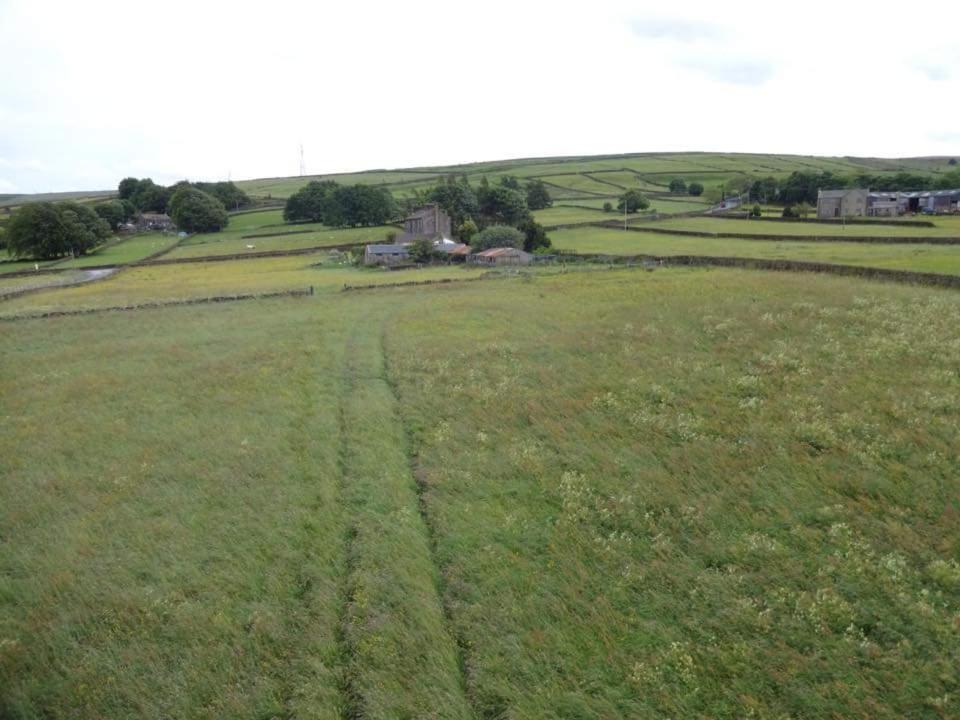 Photo 44