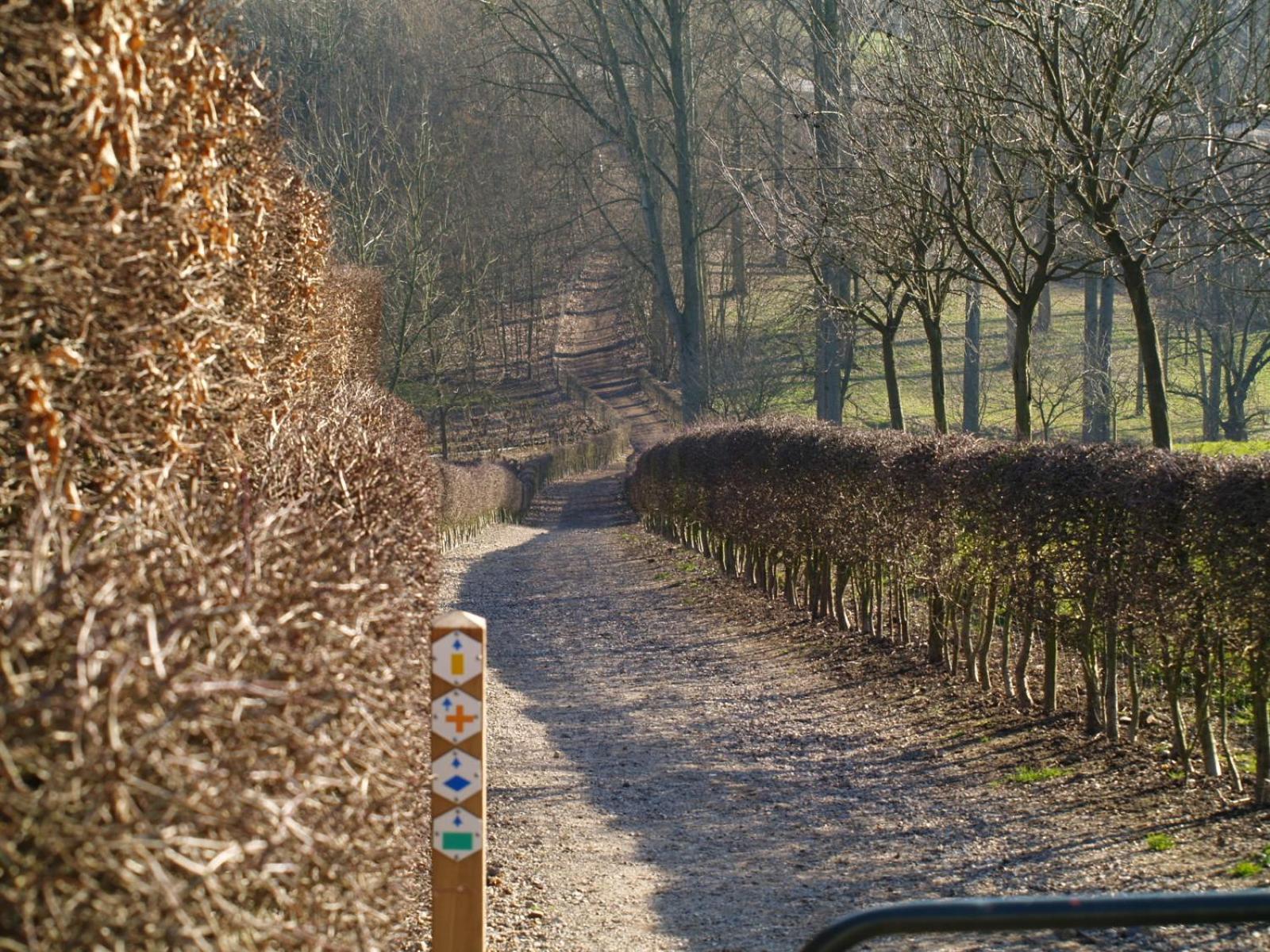 De Jölenberg
