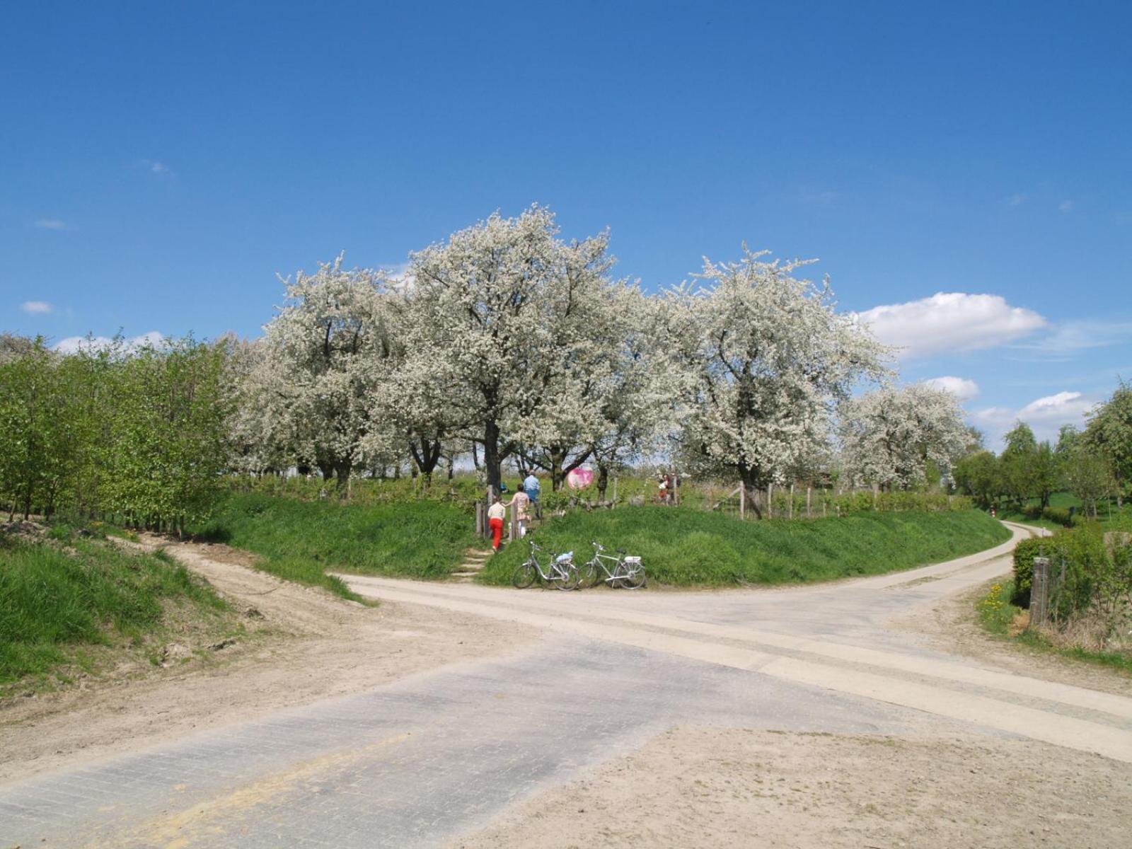 De Jölenberg