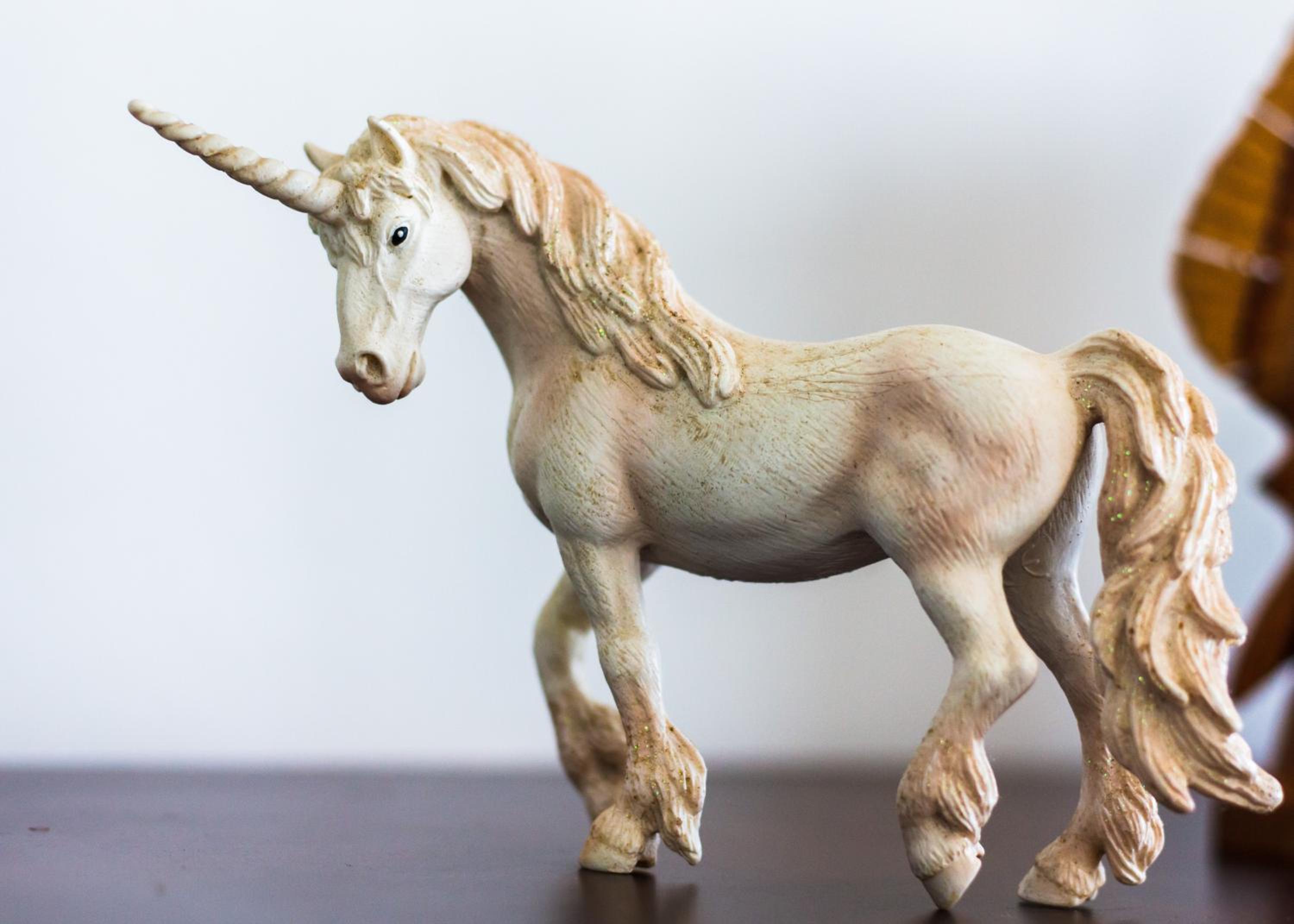 Casa Unicornio Azul