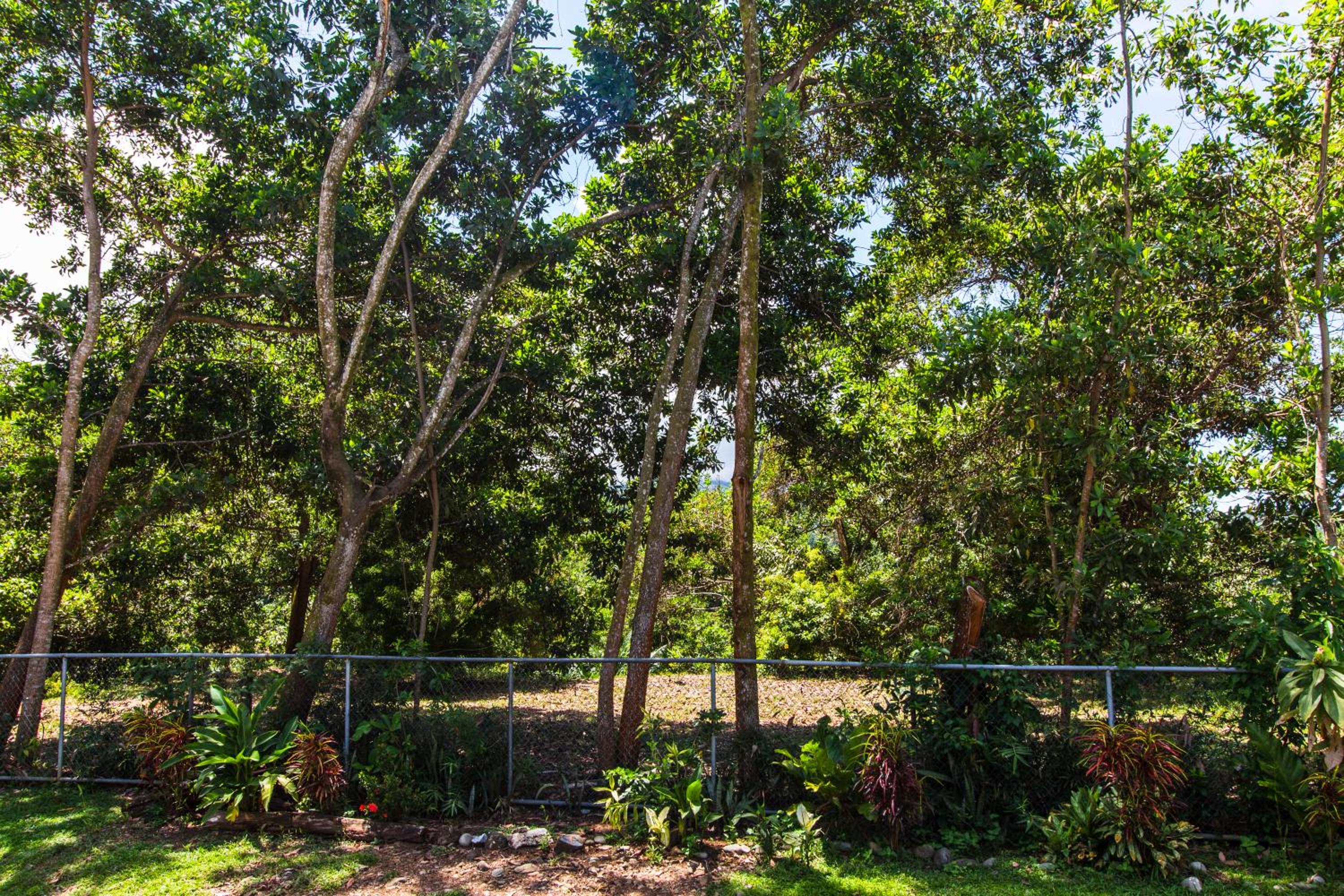 Casa Unicornio Azul