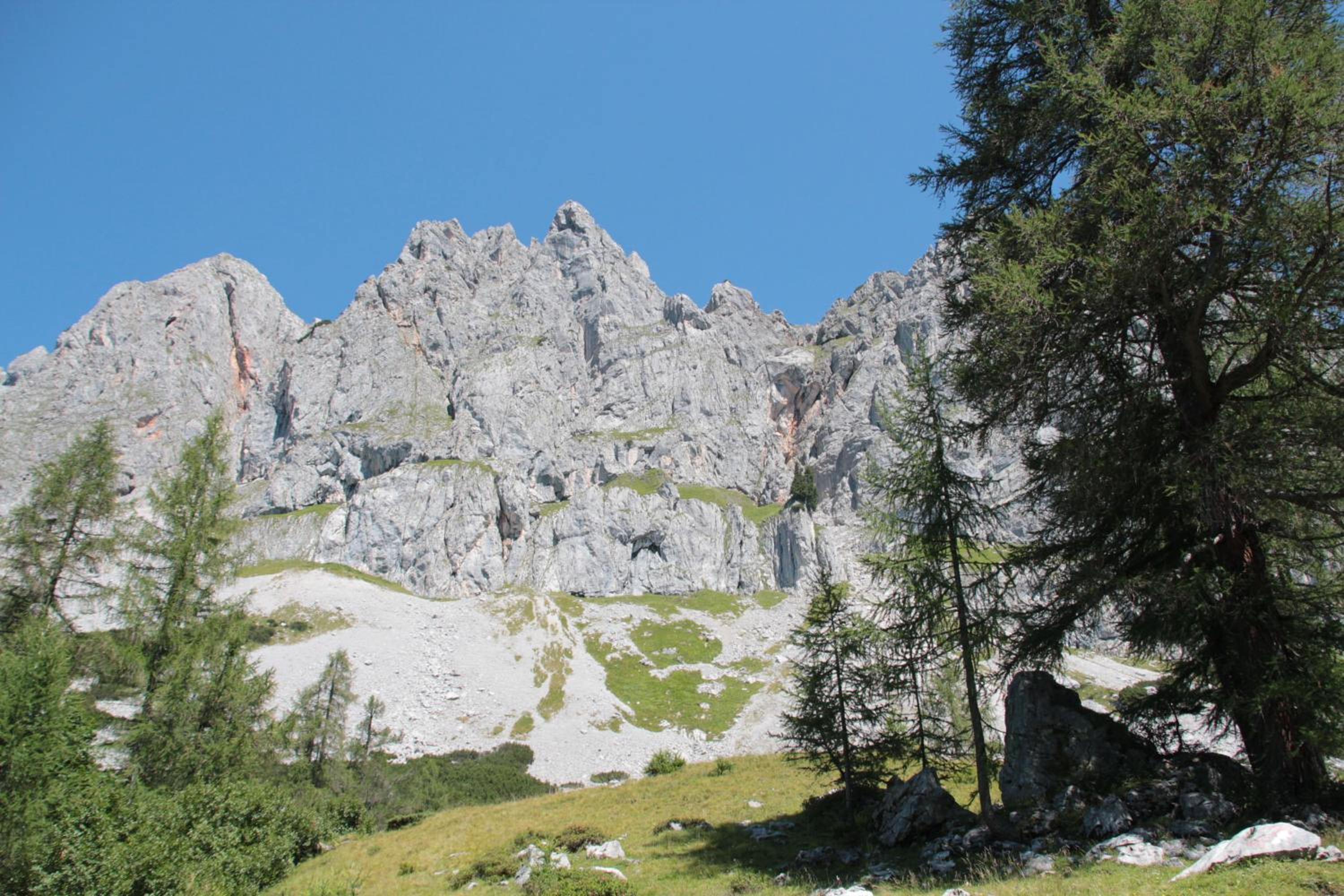 Schattaugut