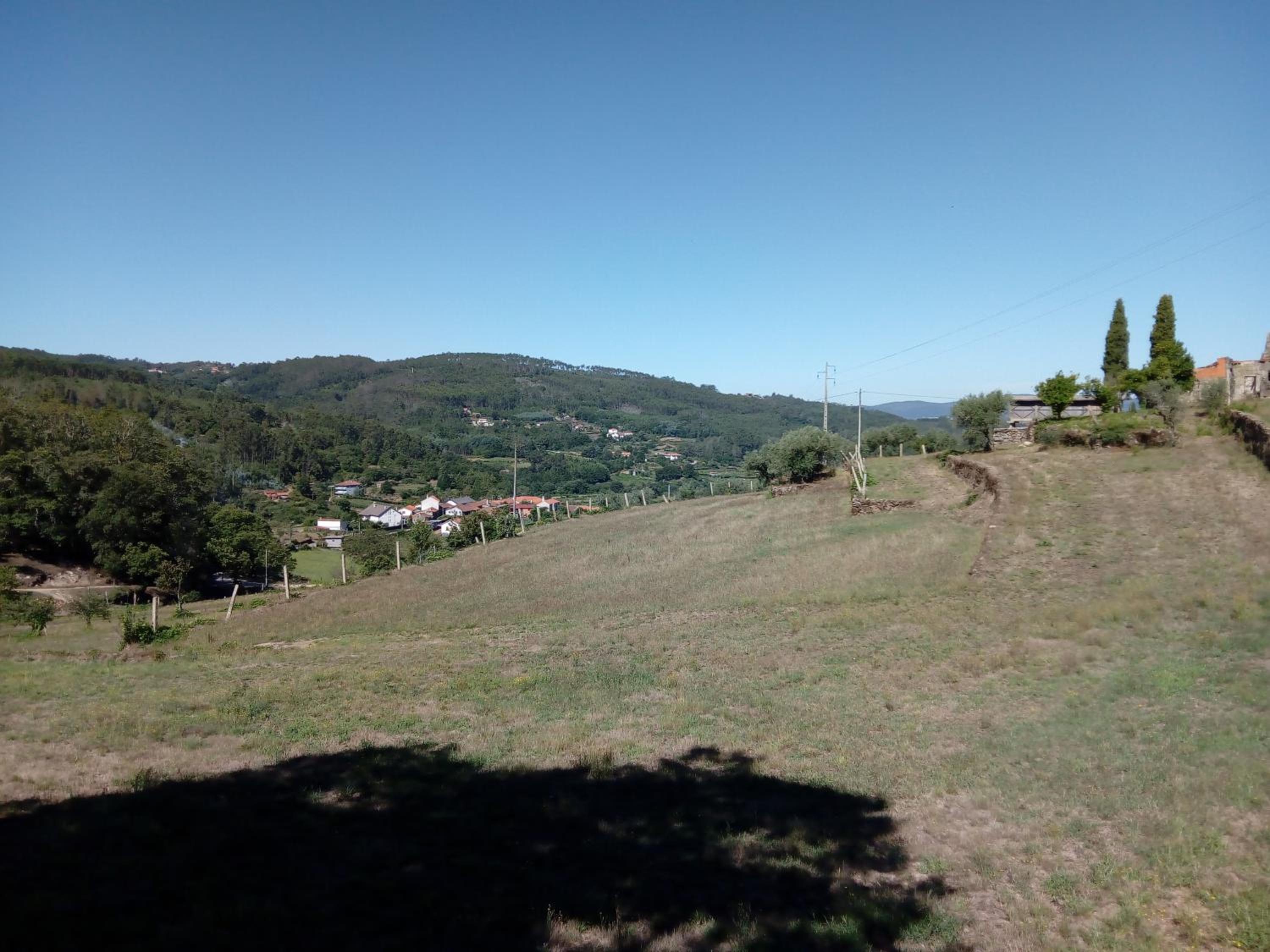 Photo 39