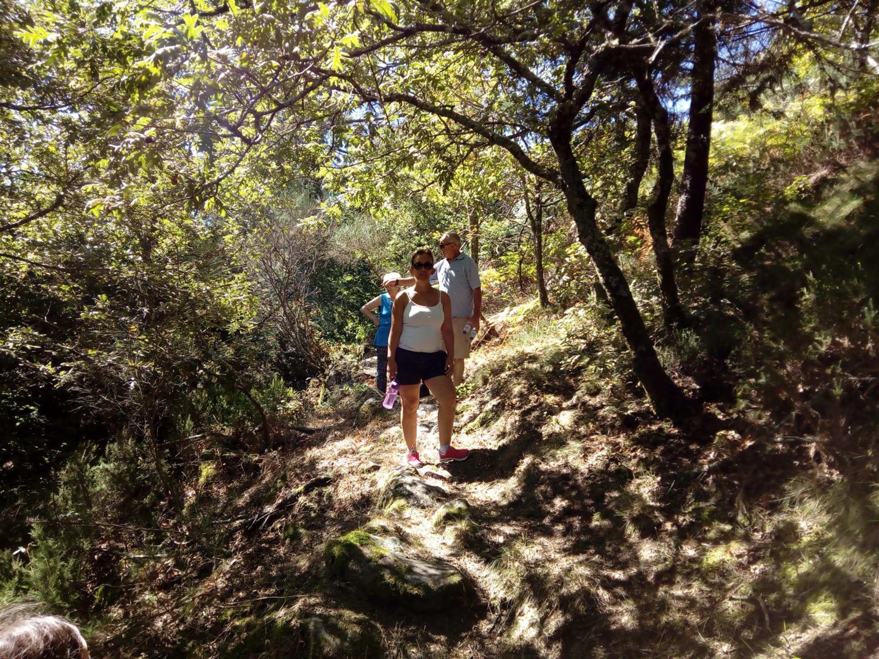 Photo 42