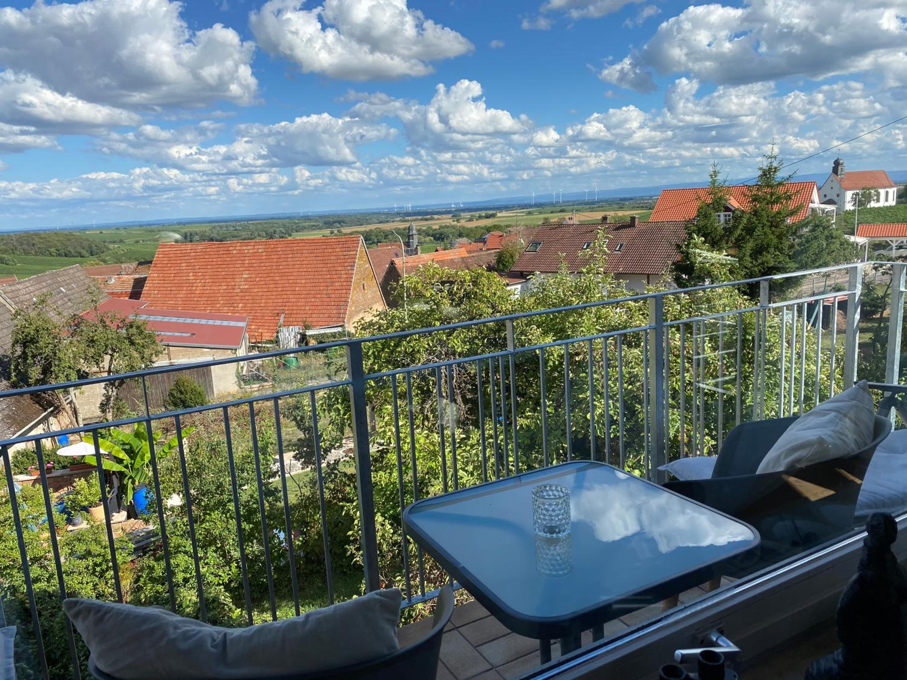 Atelier de Pfalz-Loftstyl mit Pfalzblick