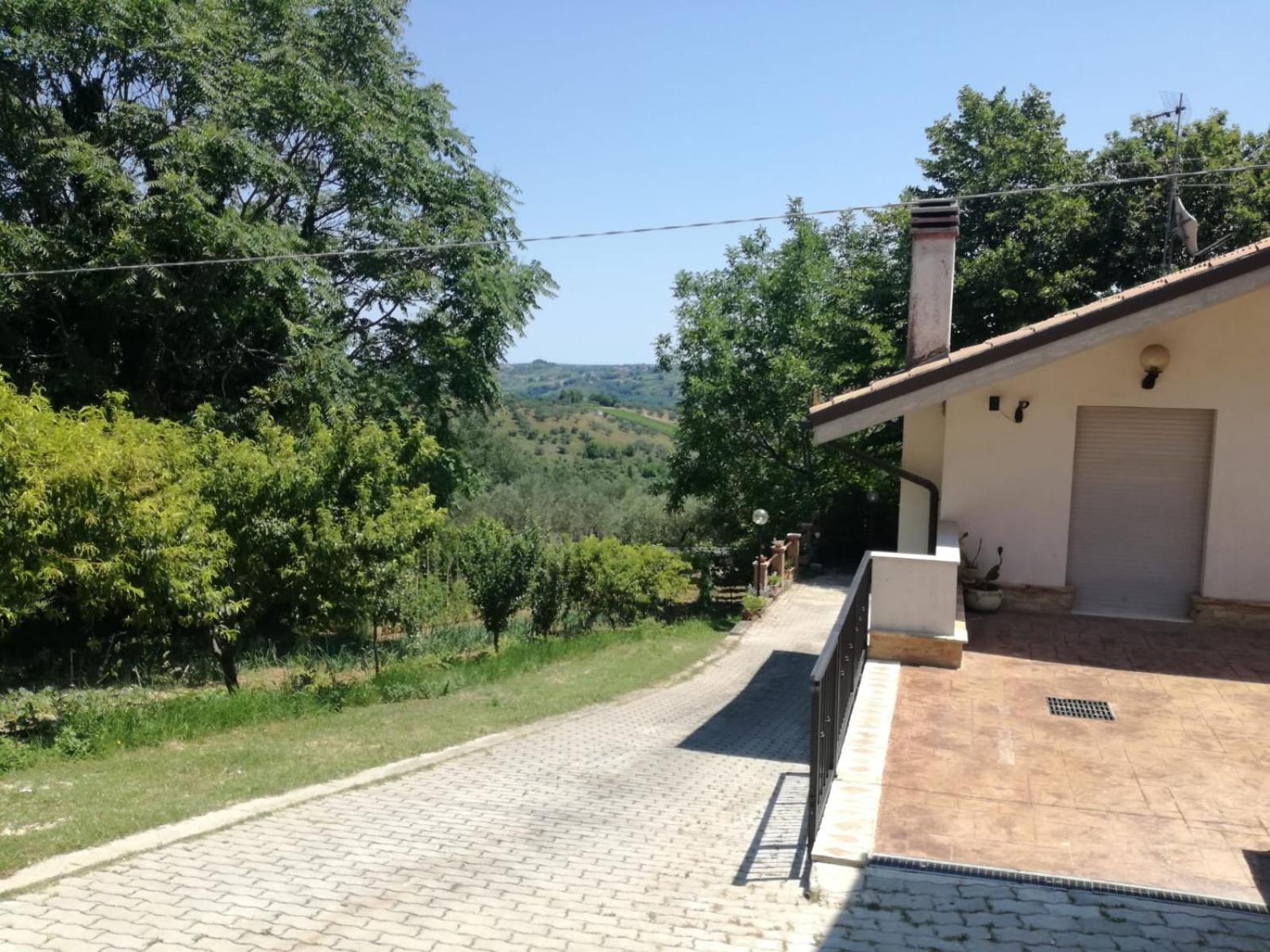 Photo 26
