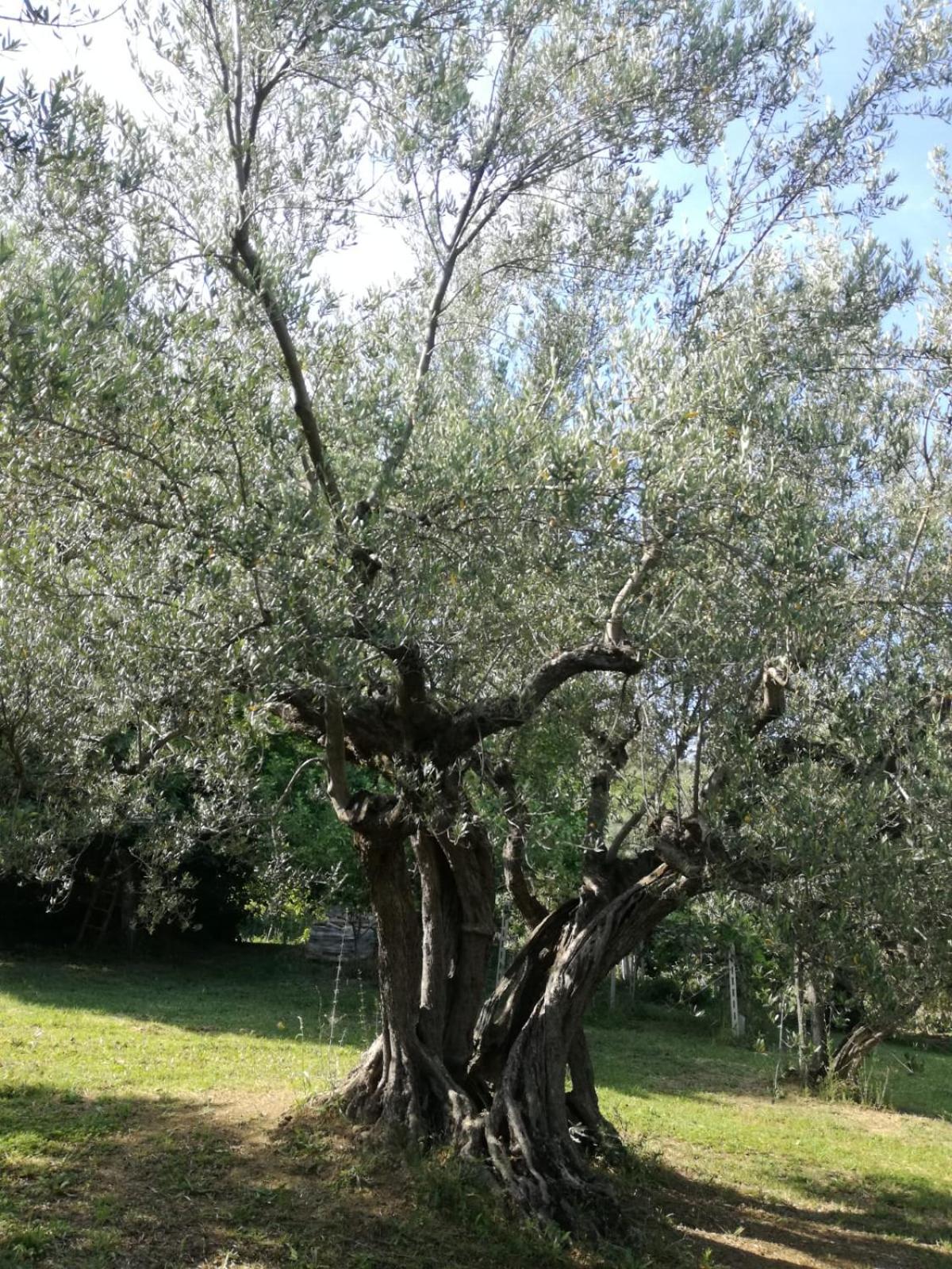 Photo 34