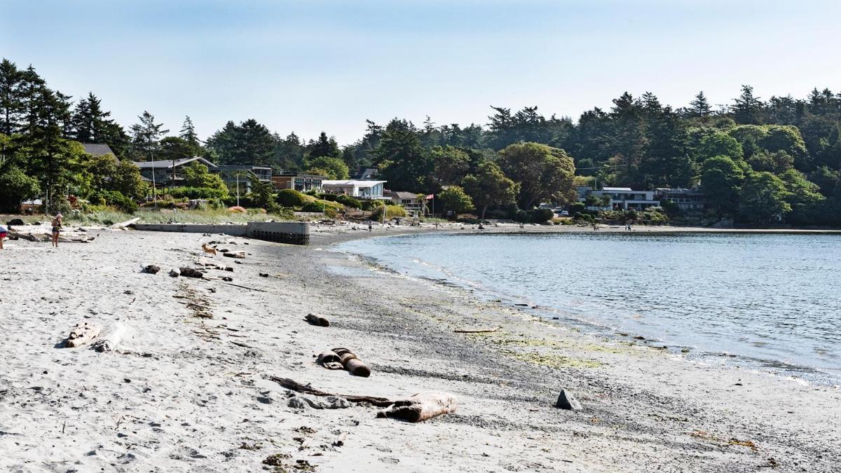 Otter Grotto 1 bed suite - Oceanfront Relaxation