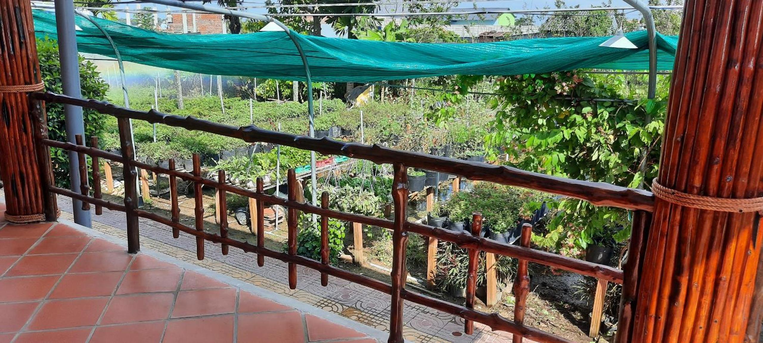 Flower & Frog Homestay