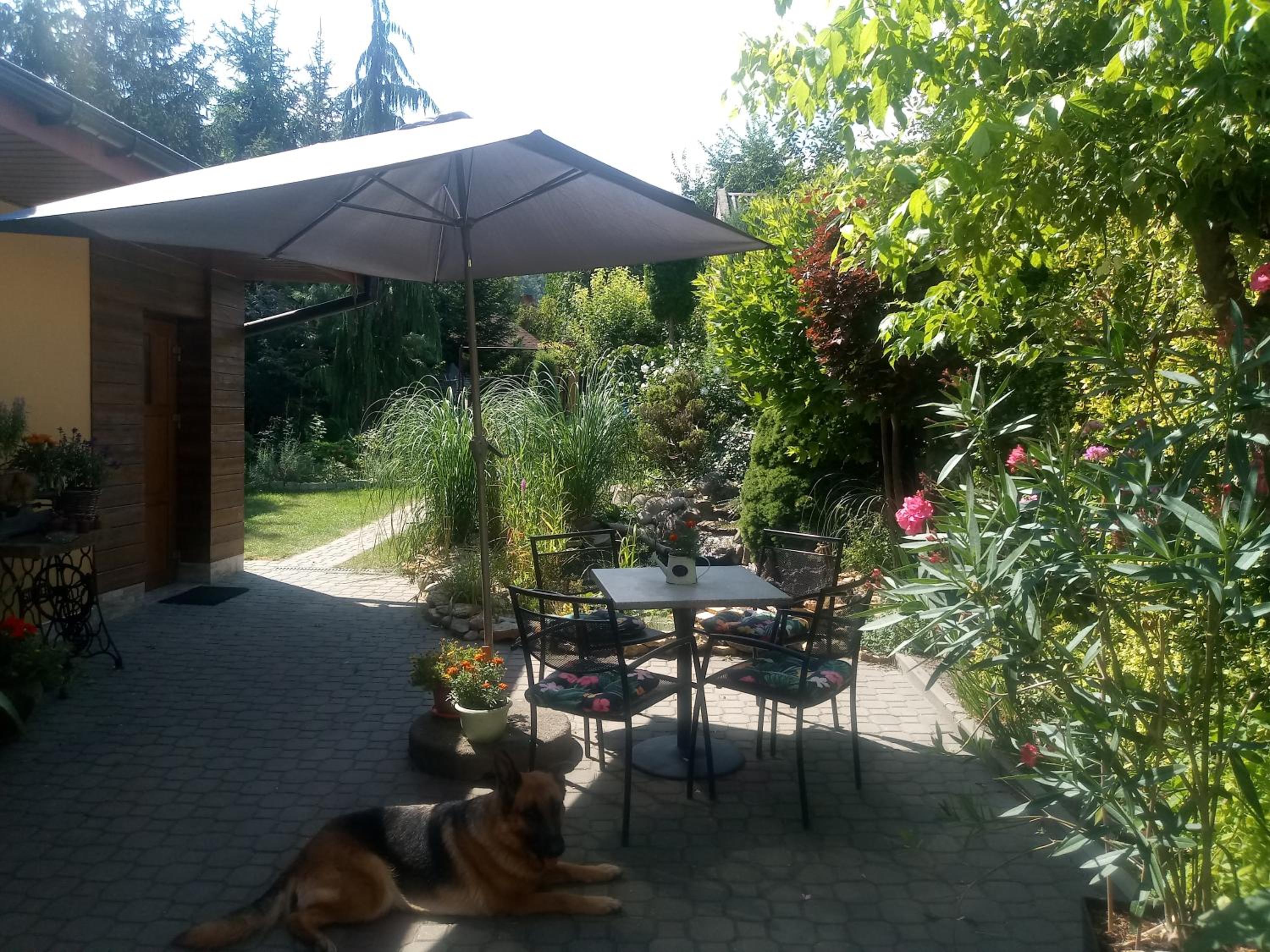 Photo 8