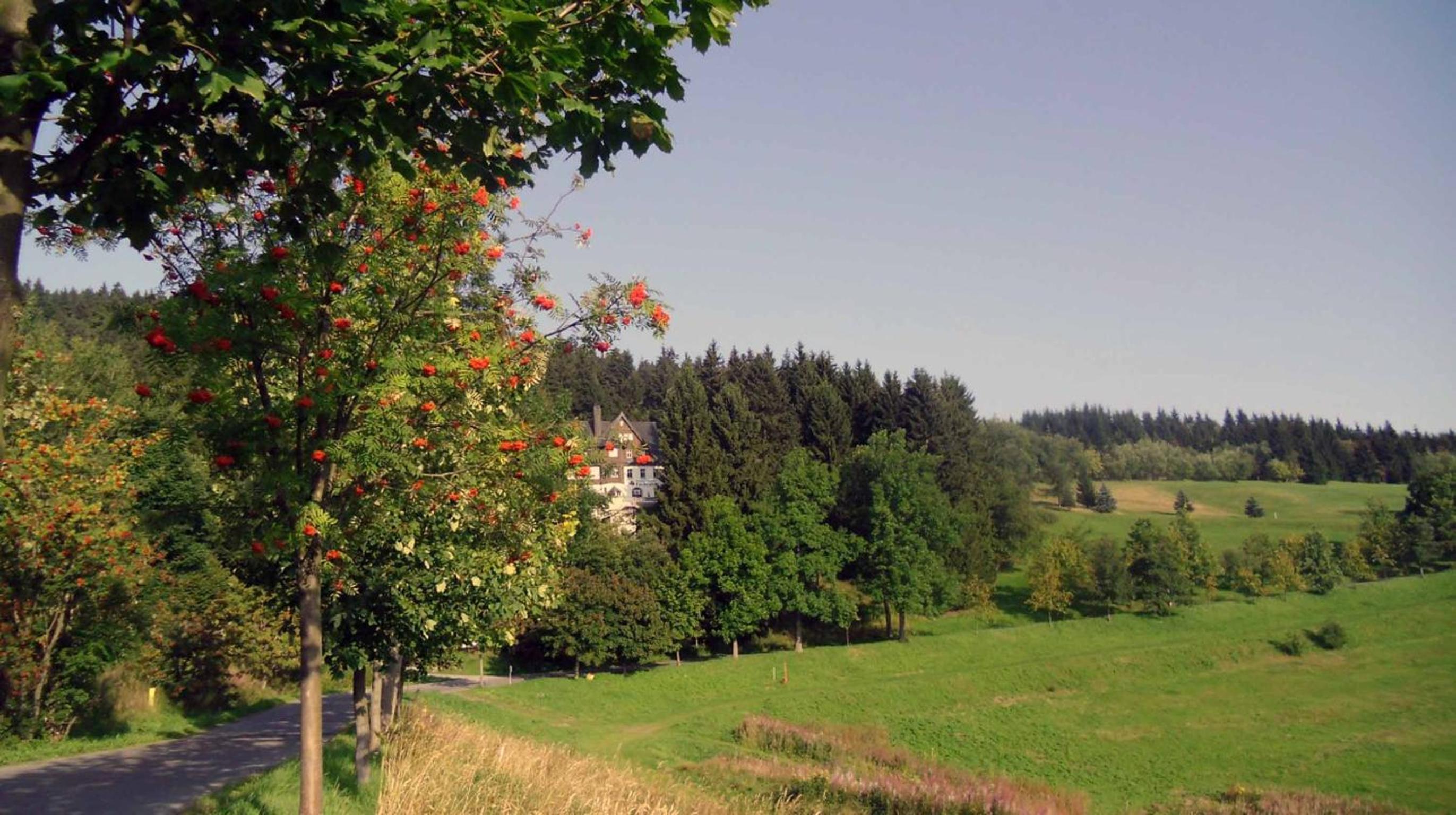 Pension und Gaststätte Naturbaude Eschenhof