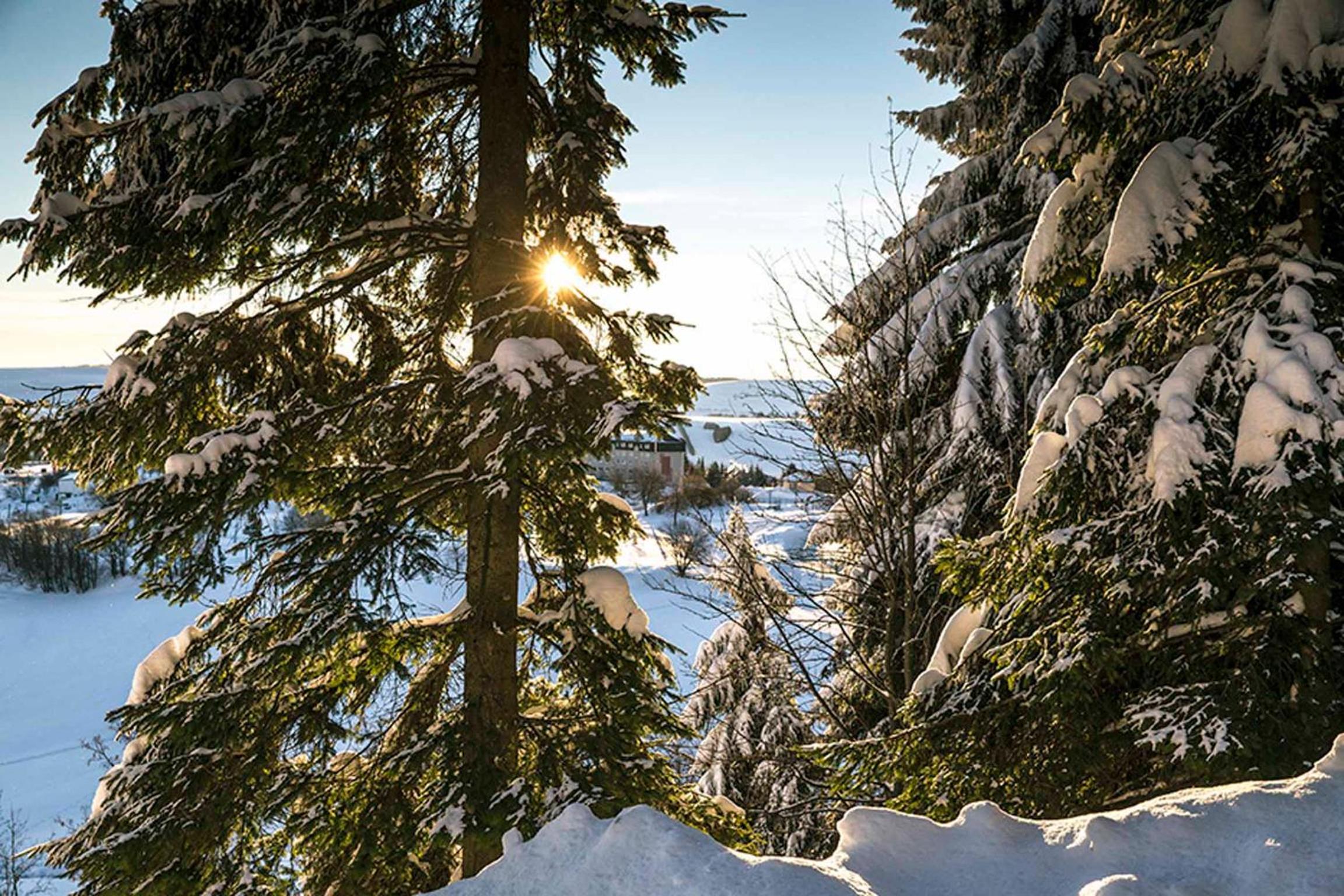 Pension und Gaststätte Naturbaude Eschenhof