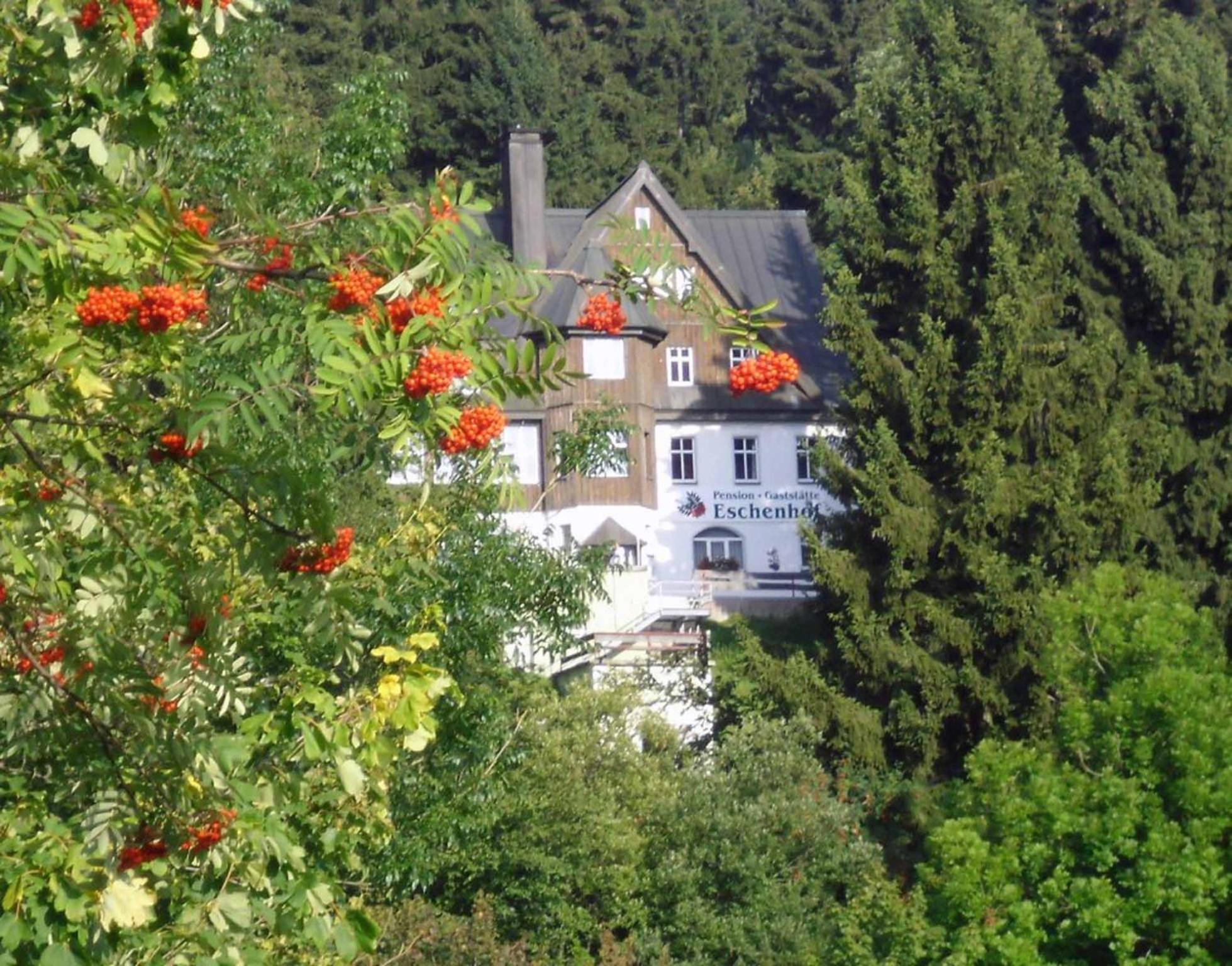 Pension und Gaststätte Naturbaude Eschenhof