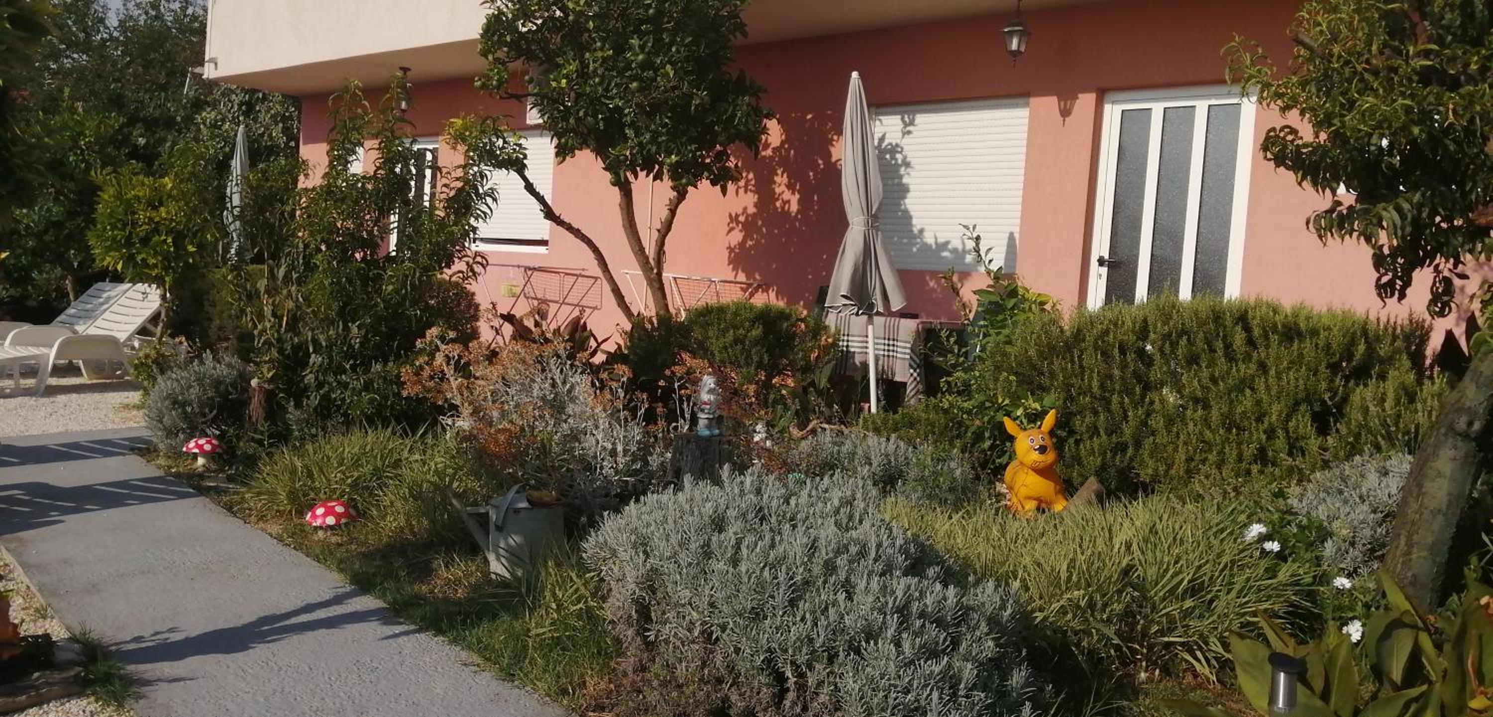 Photo 63