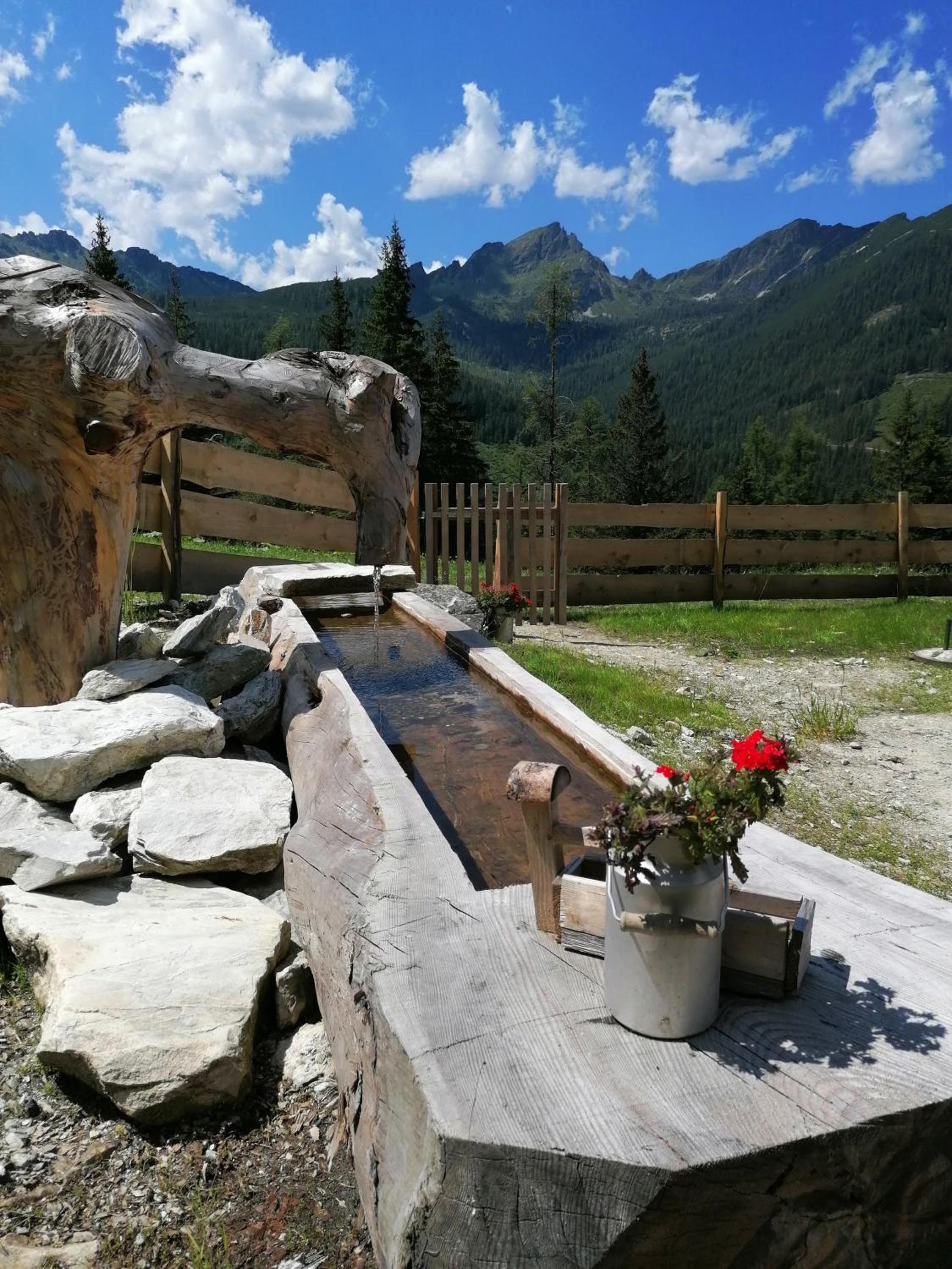 Ampferkaralm Hütte view 4