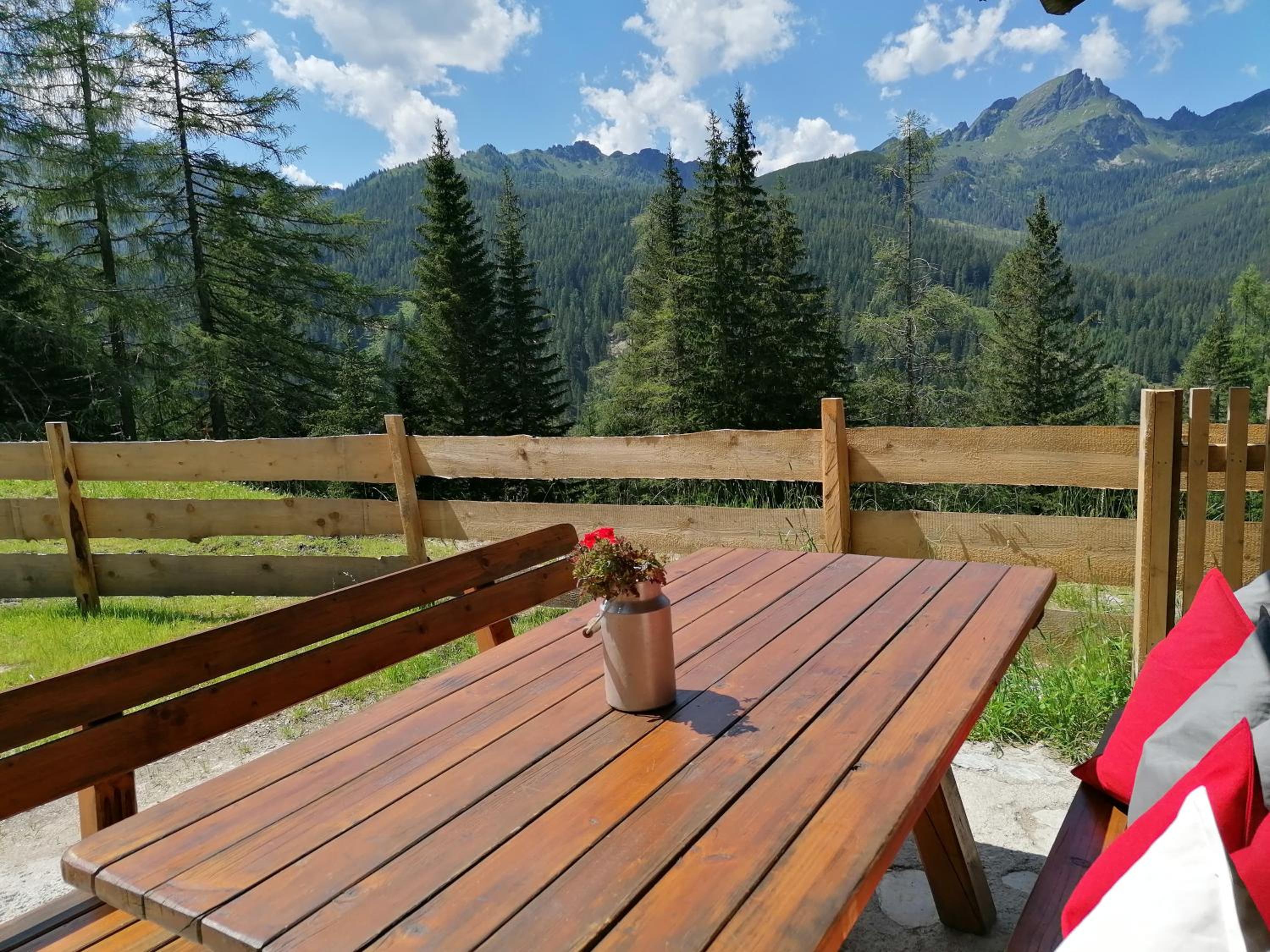 Ampferkaralm Hütte view 5