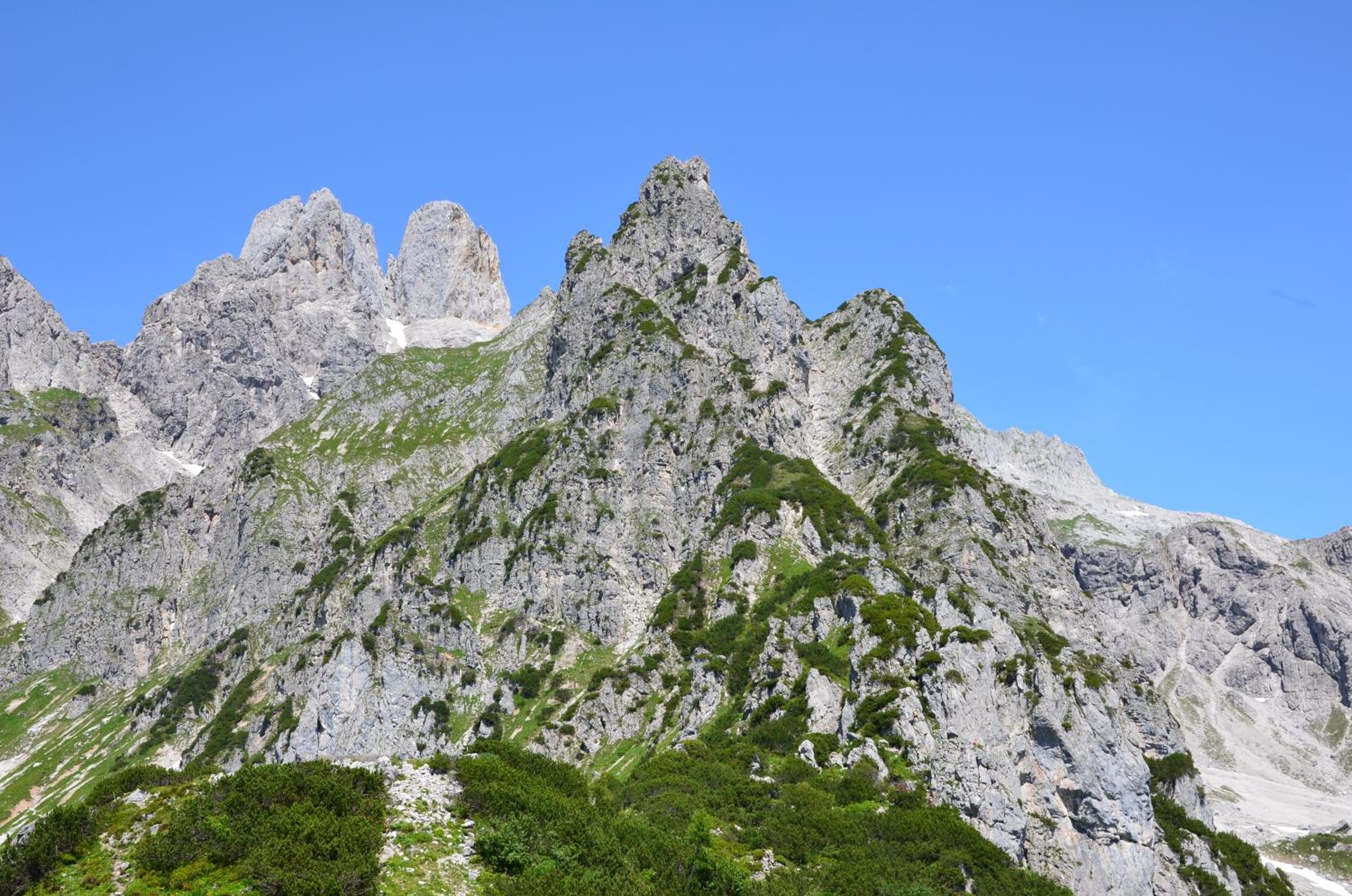 Schattaugut