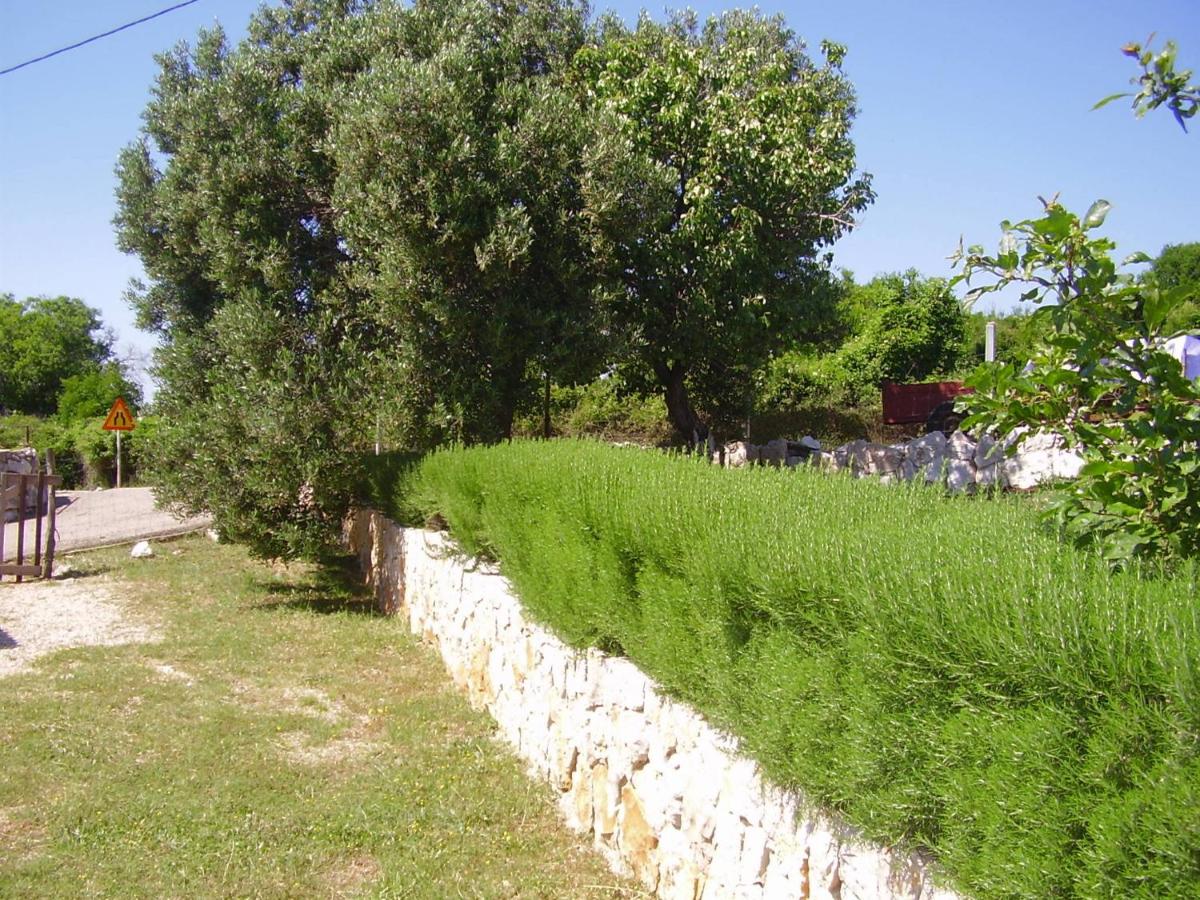 Photo 24